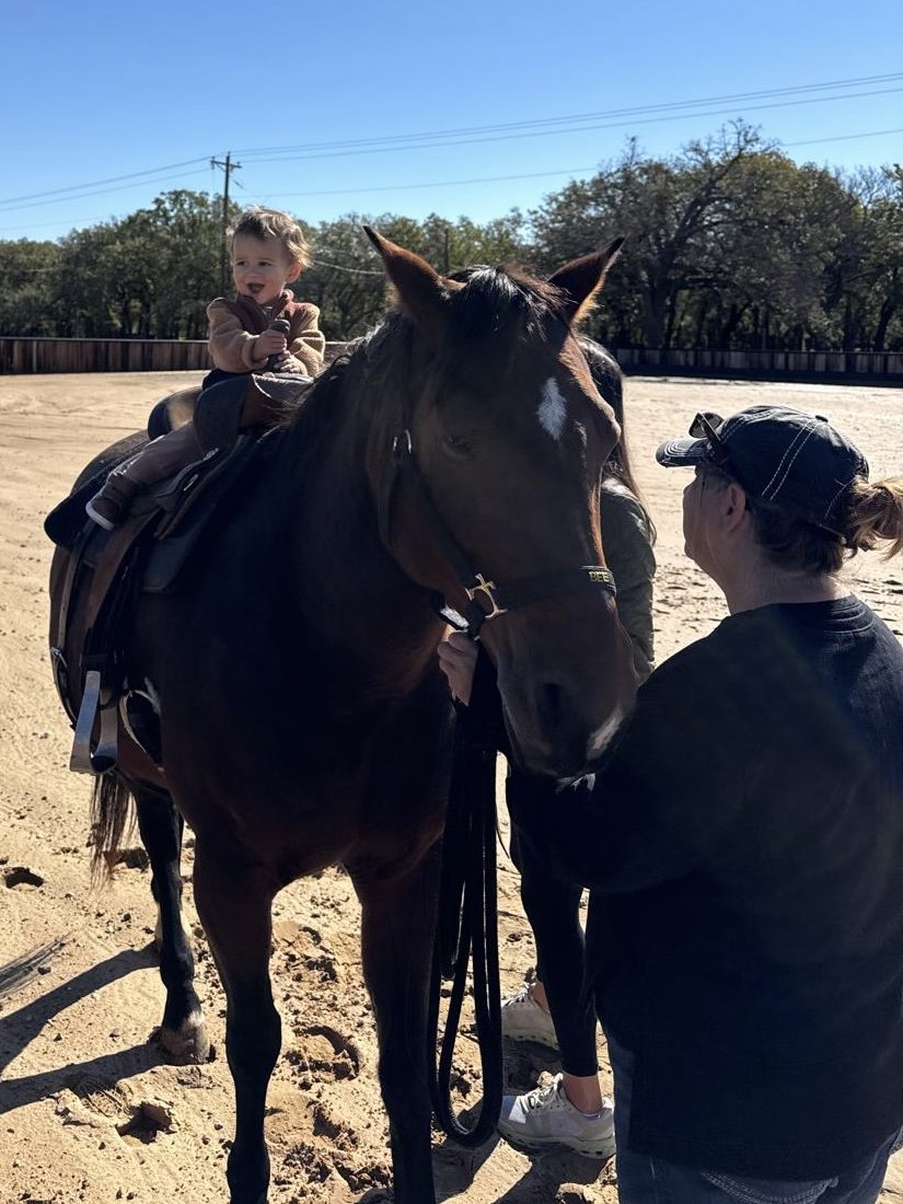 Pure joy powered by Bee.