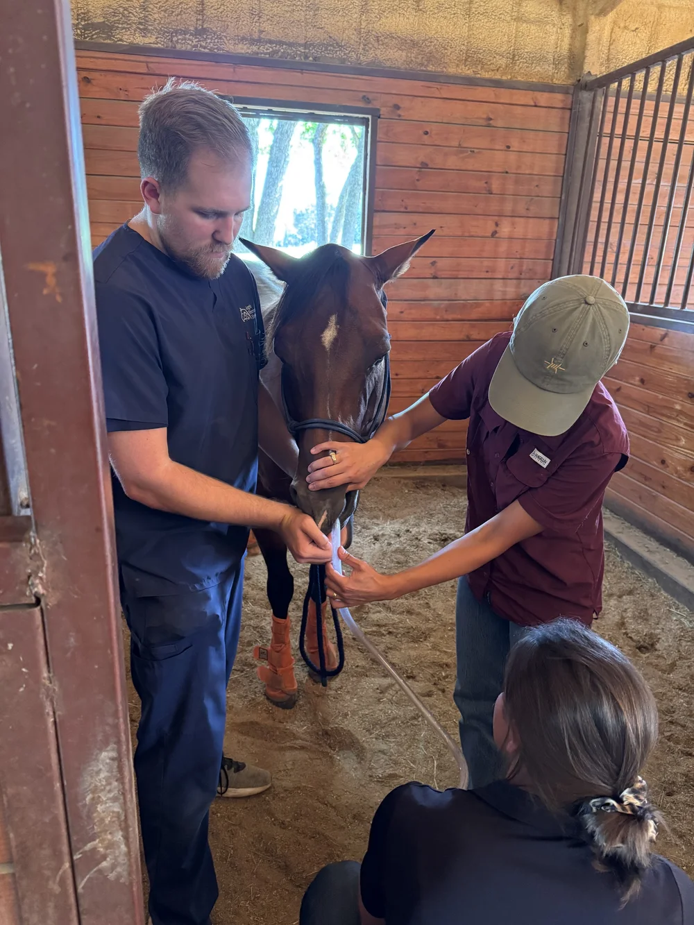 Drs Diaz &amp; LaRue and Vet tech post-sedation nasogastric intubation.