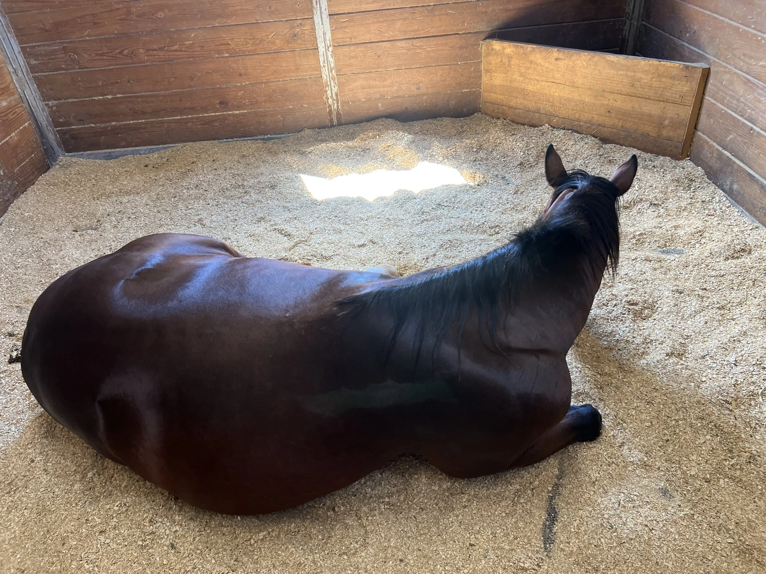 Sleeping Beauty