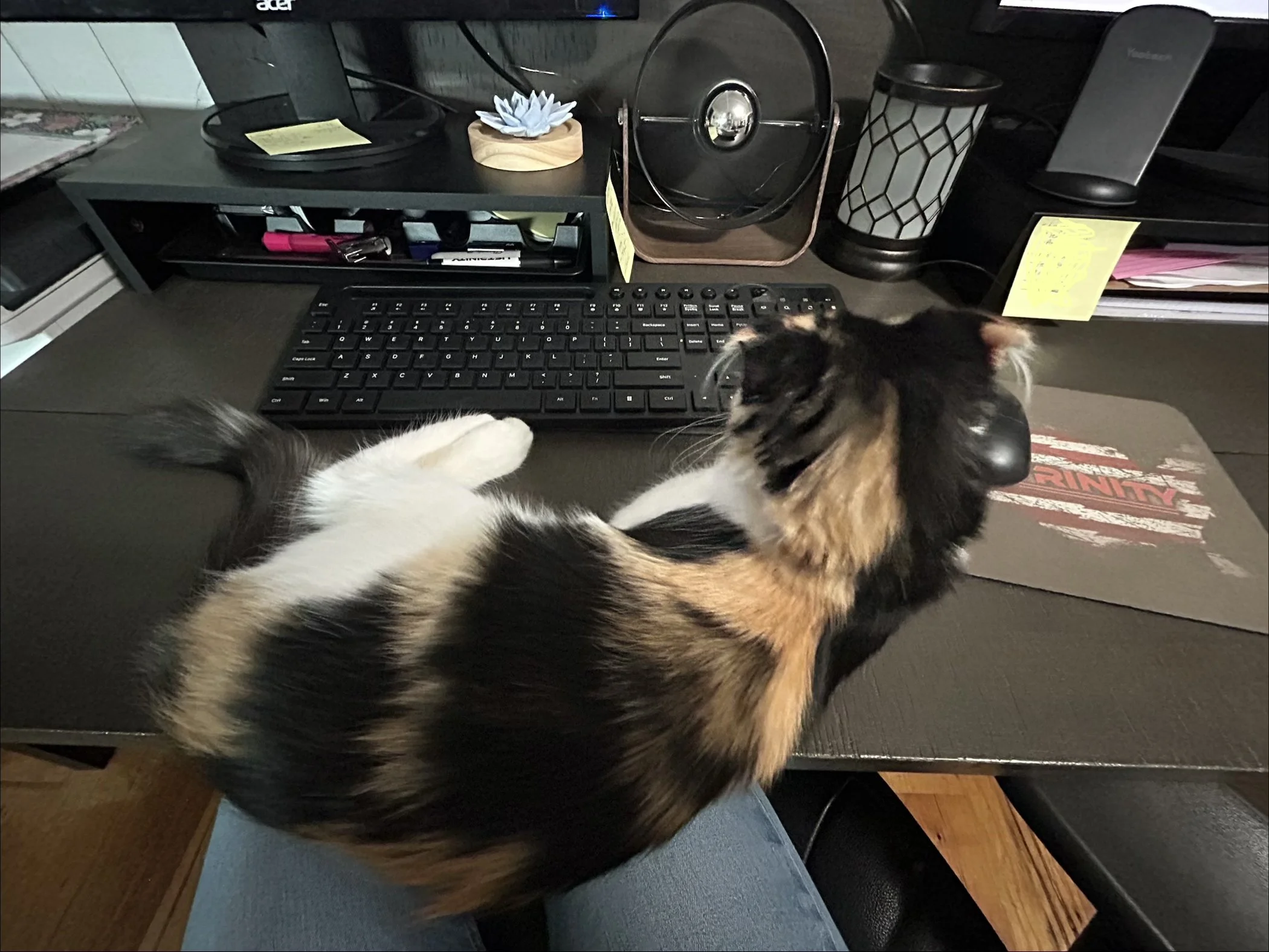 RenderedImage.jpg