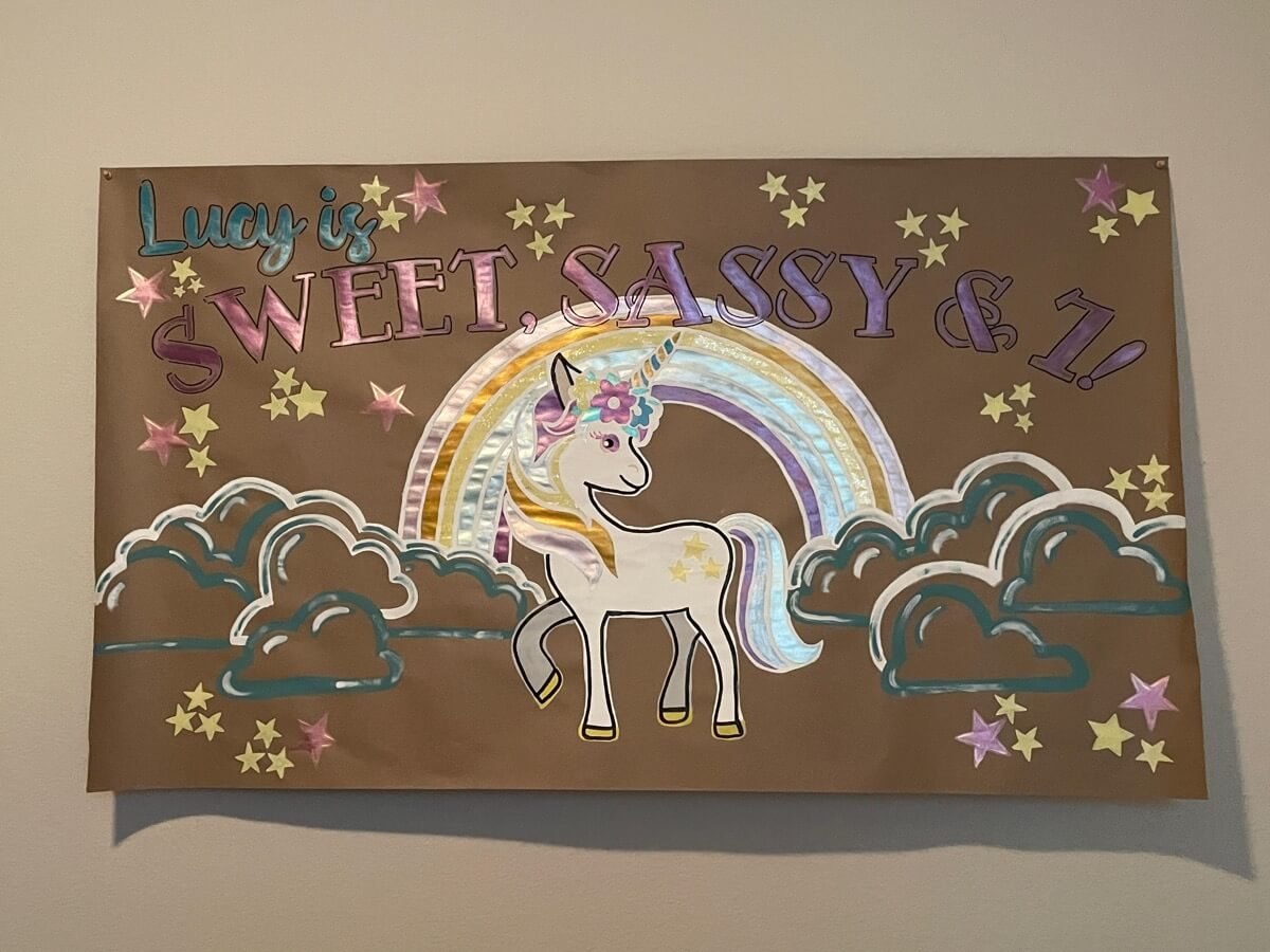 Hand-painted unicorn and rainbow birthday banner for Lucy’s 7th birthday with the message "Sweet & Sassy."