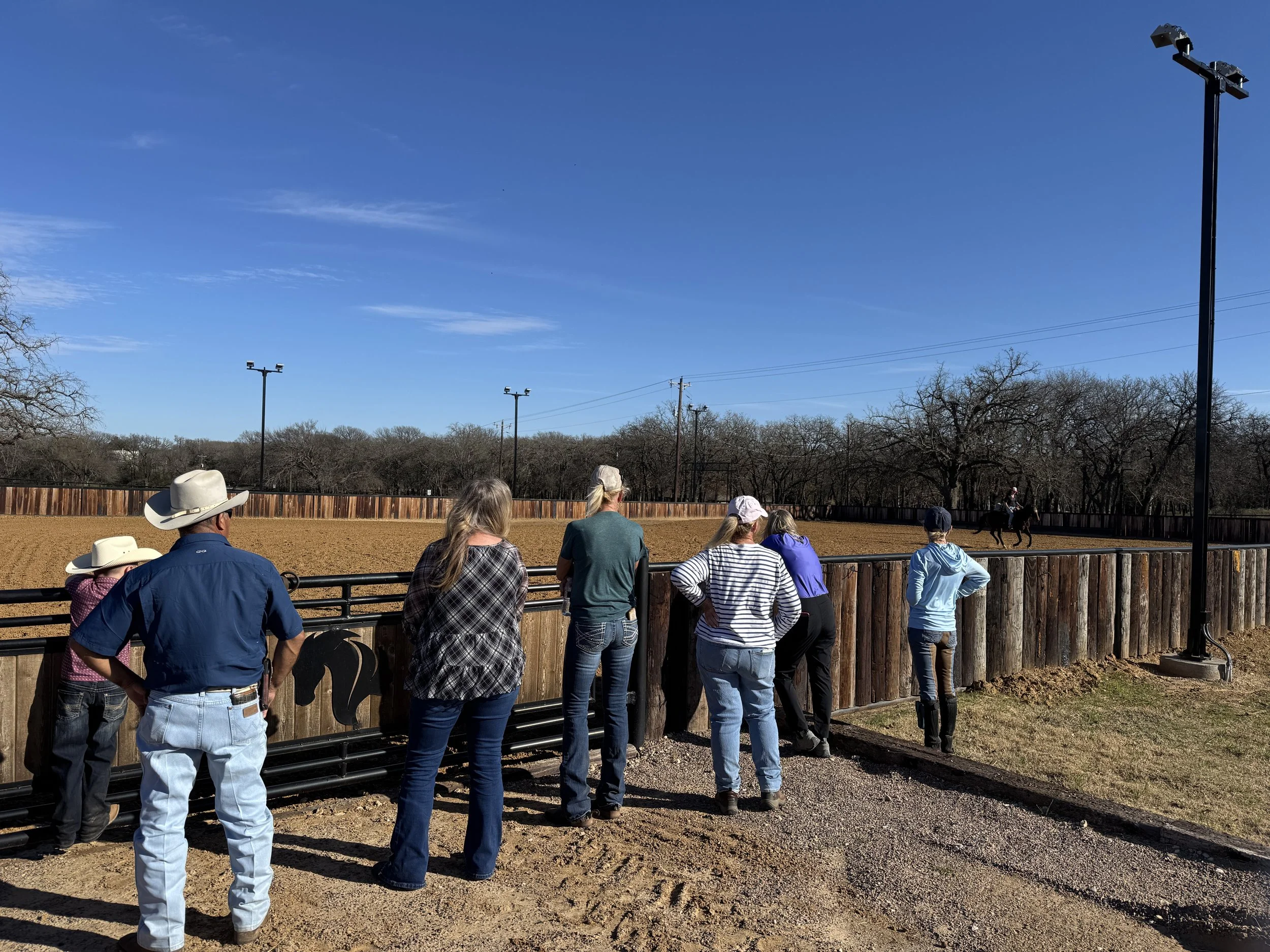Spectators watching horse training from the rail of an arena