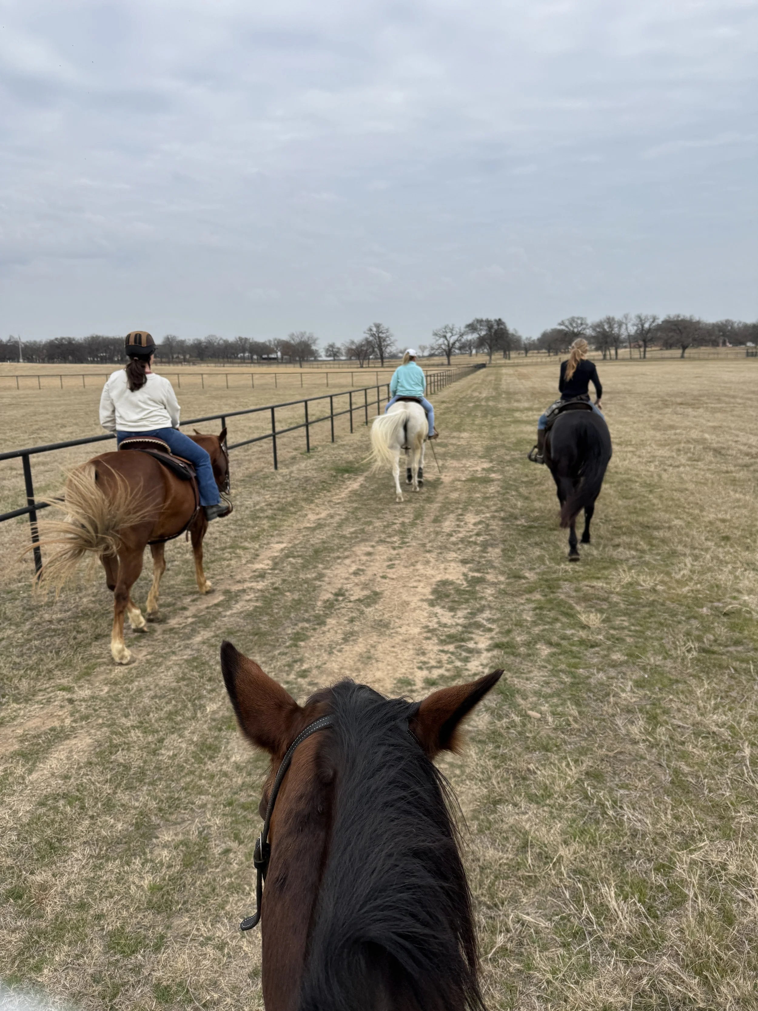 Four women on horseback riding in a field