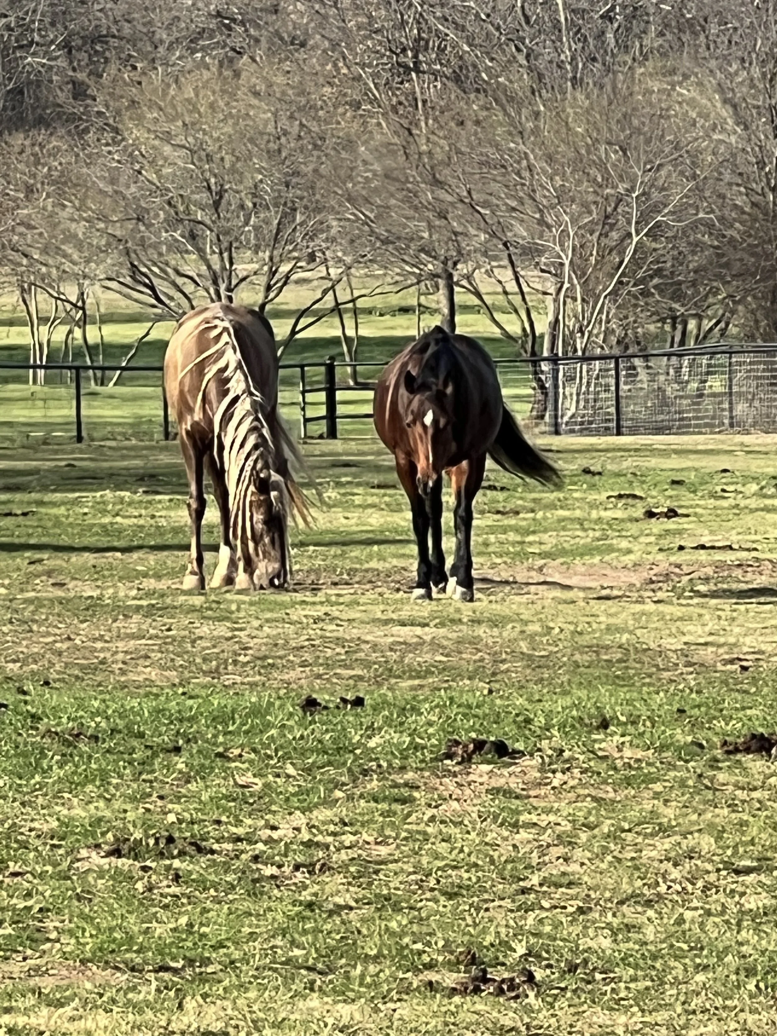 February 6, 2026: Apparently Jealousy Is a Hydration Strategy