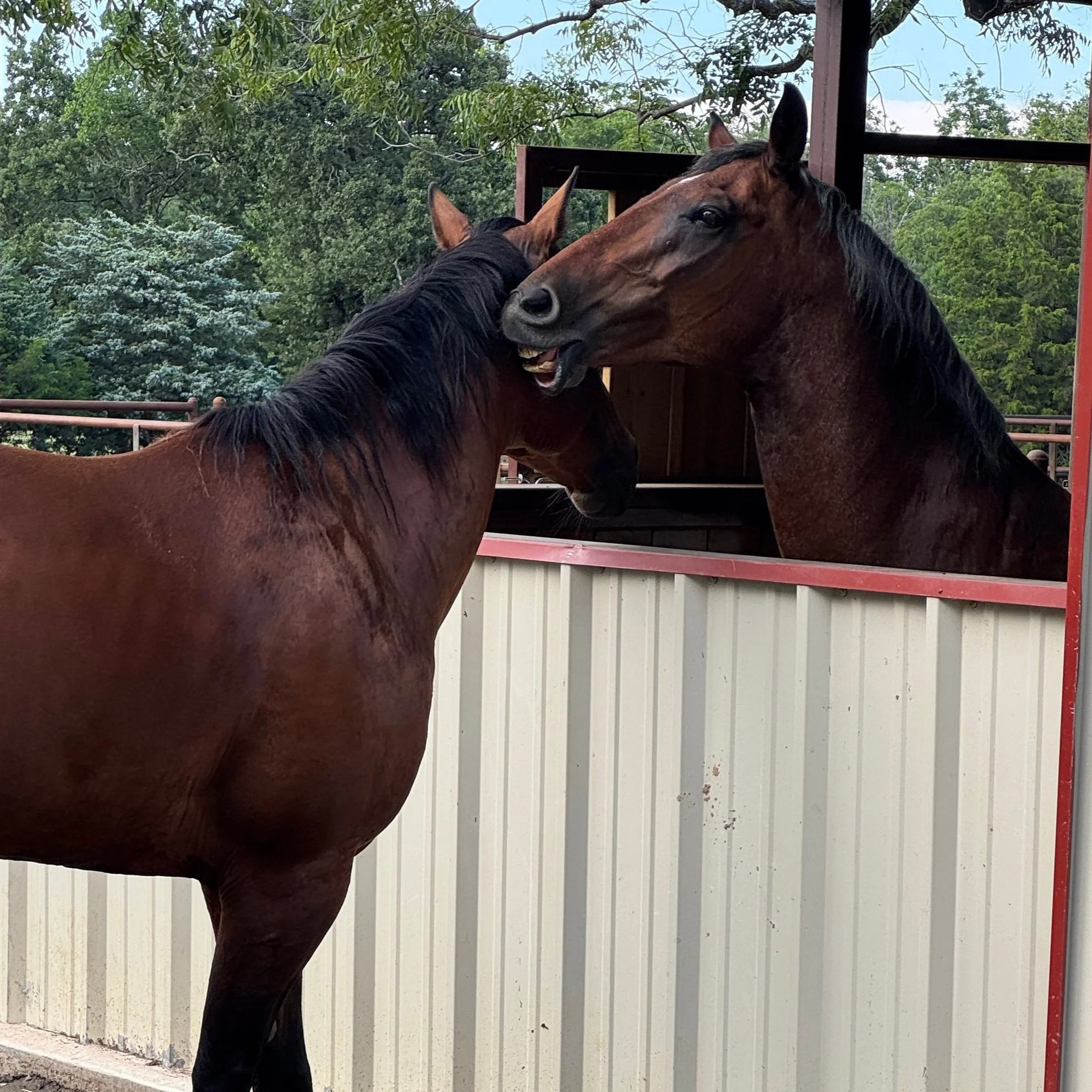 July 18, 2025: Bee Behaves Badly, Bonds Sweetly