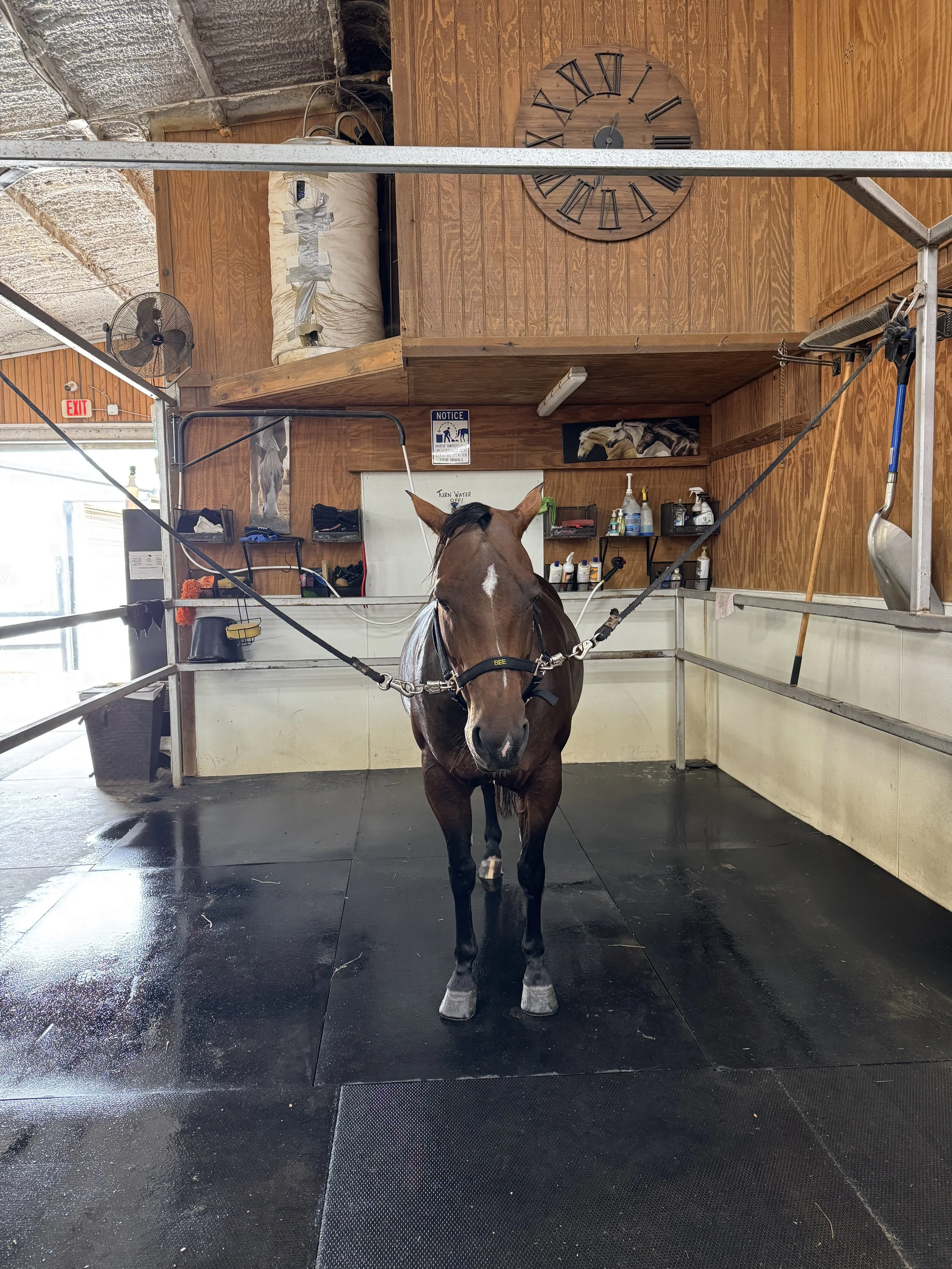 August 28, 2026: Bath Time With Bee - Rinse, Scrub, Repeat
