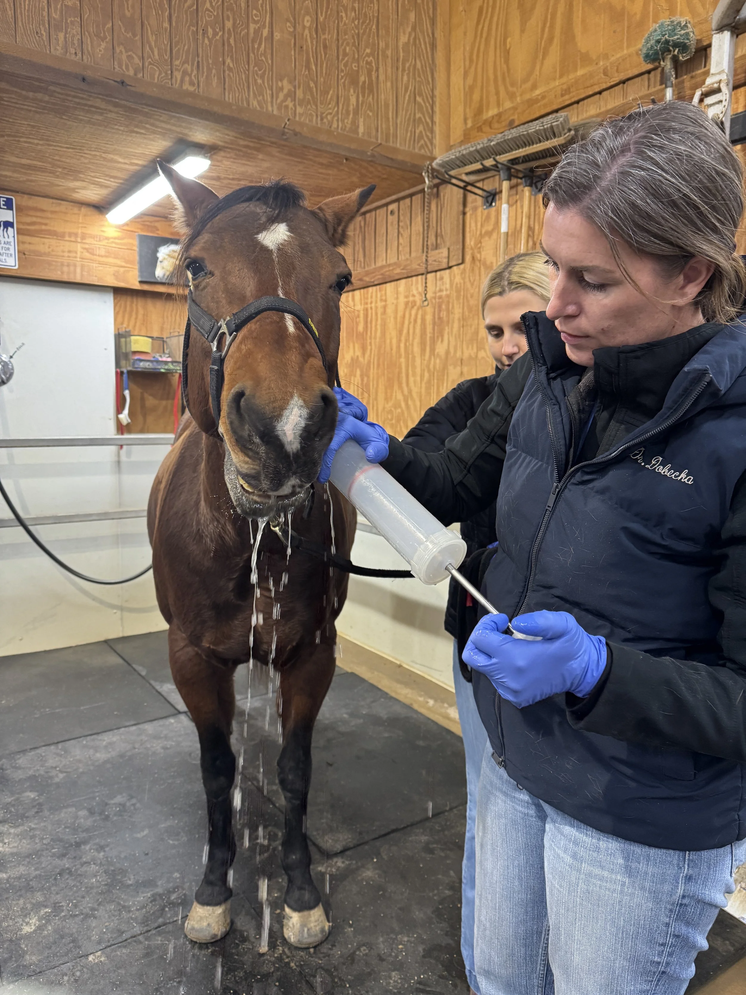 February 13, 2026: Needles, Teeth, and Medieval Equipment