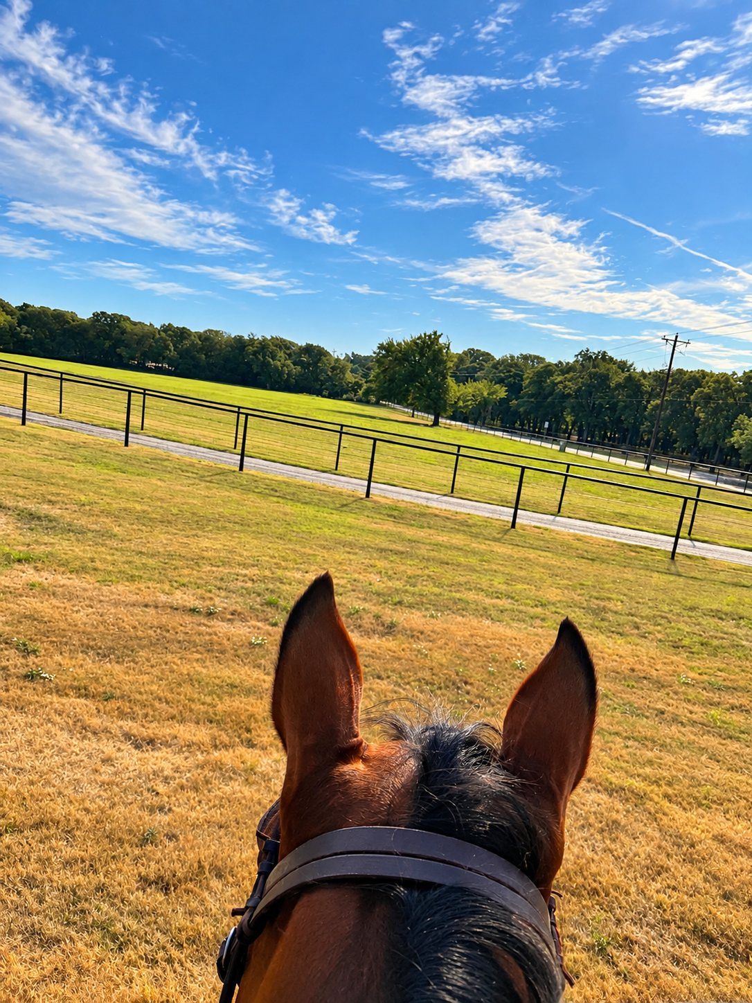 View between a horse’s ears while riding through a peaceful fenced pasture in North Texas.