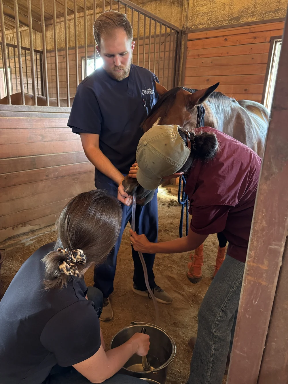 Drs Diaz &amp; La Rue and Vet tech finishing nasogastric intubation.