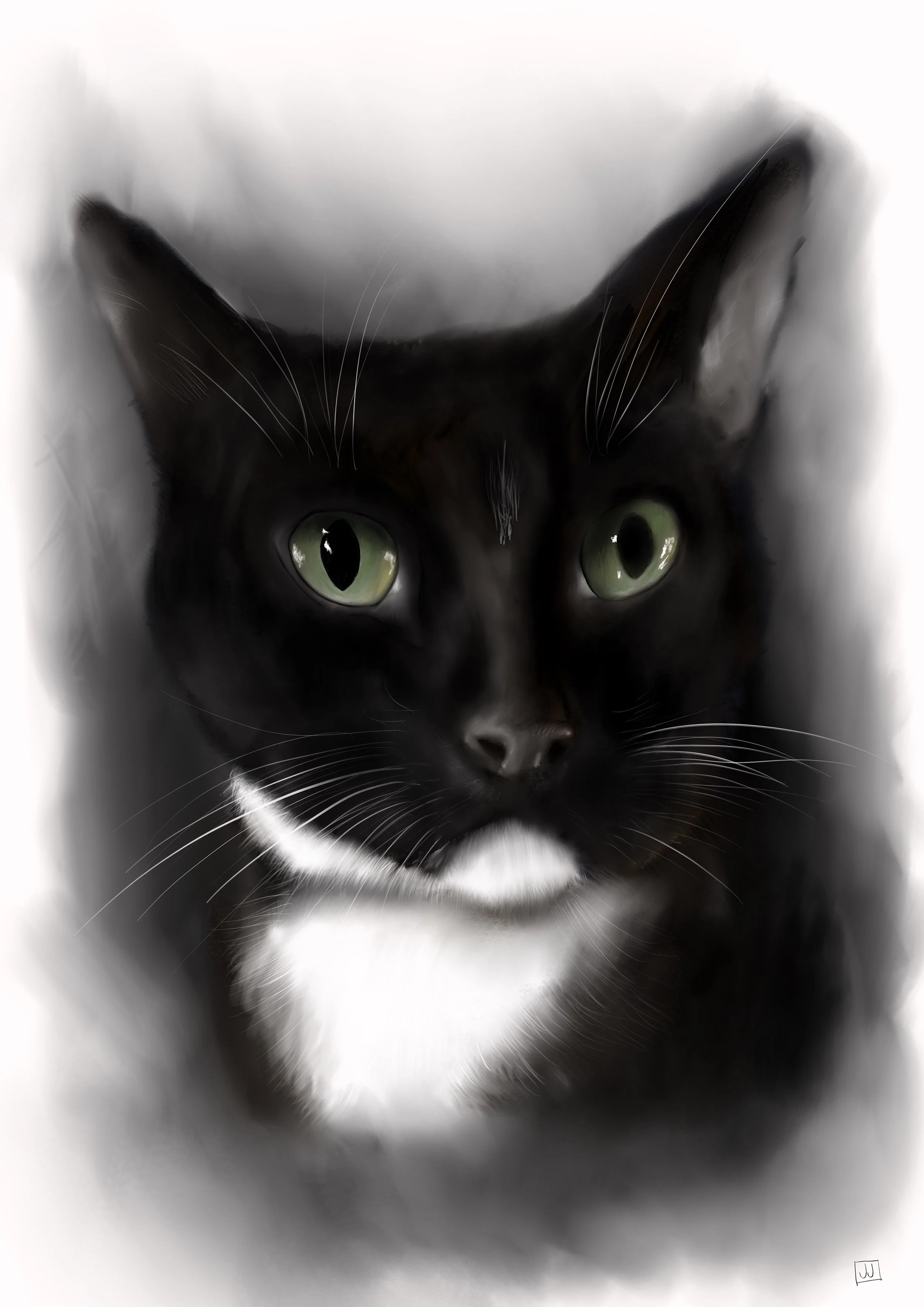 Butch final jpg.jpg