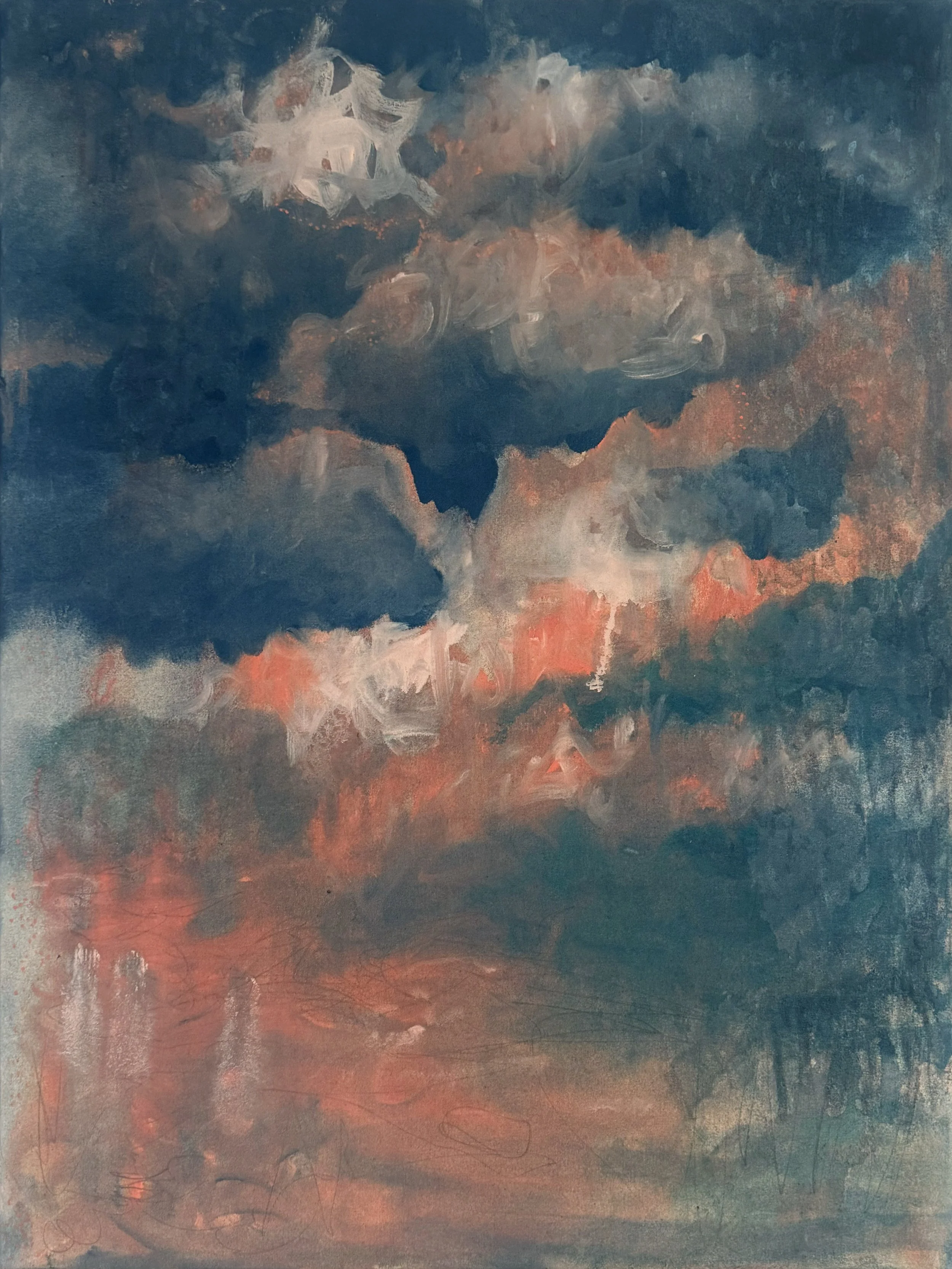 sunset swim | 83 x 65 cm