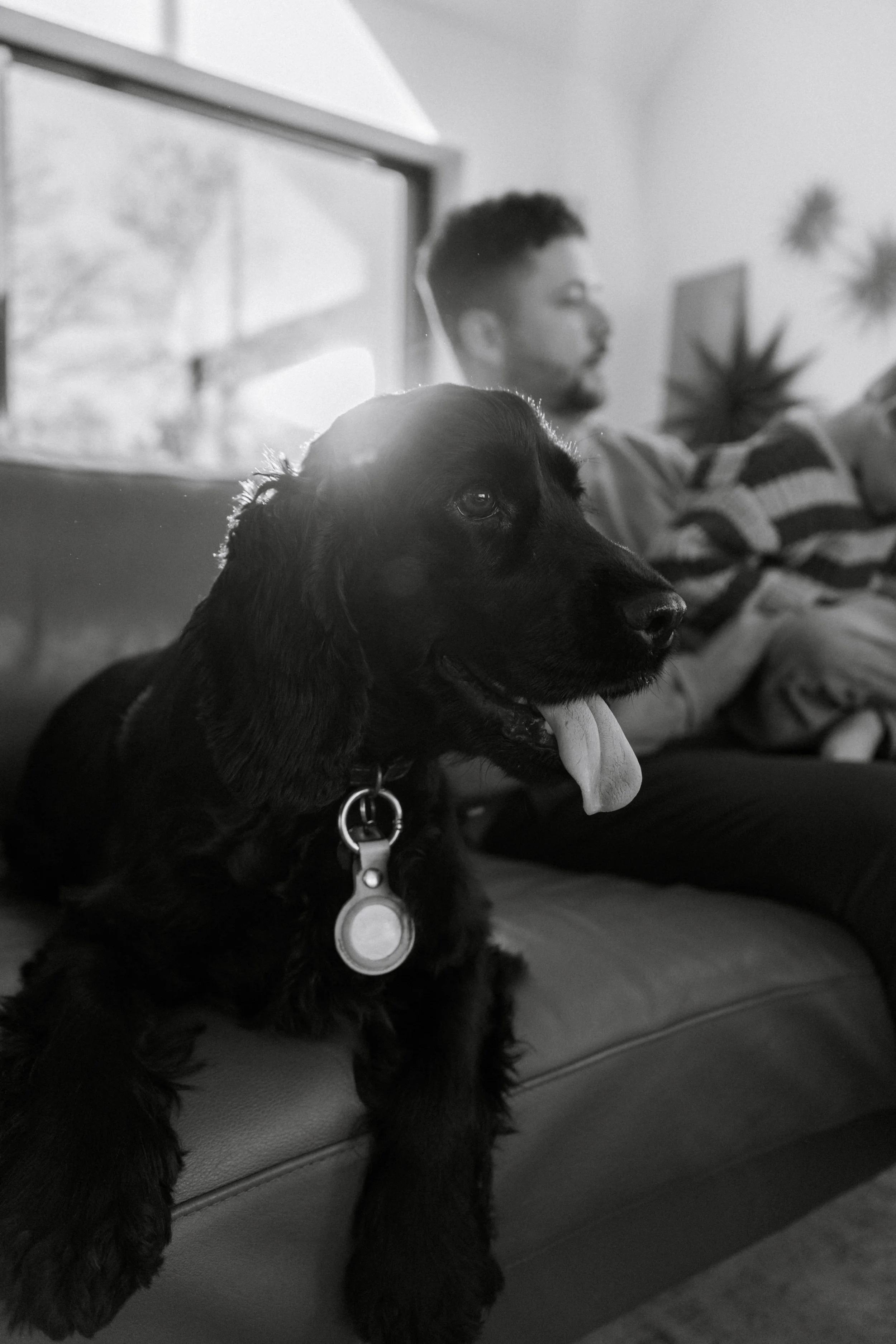 The Scullions-032.jpg