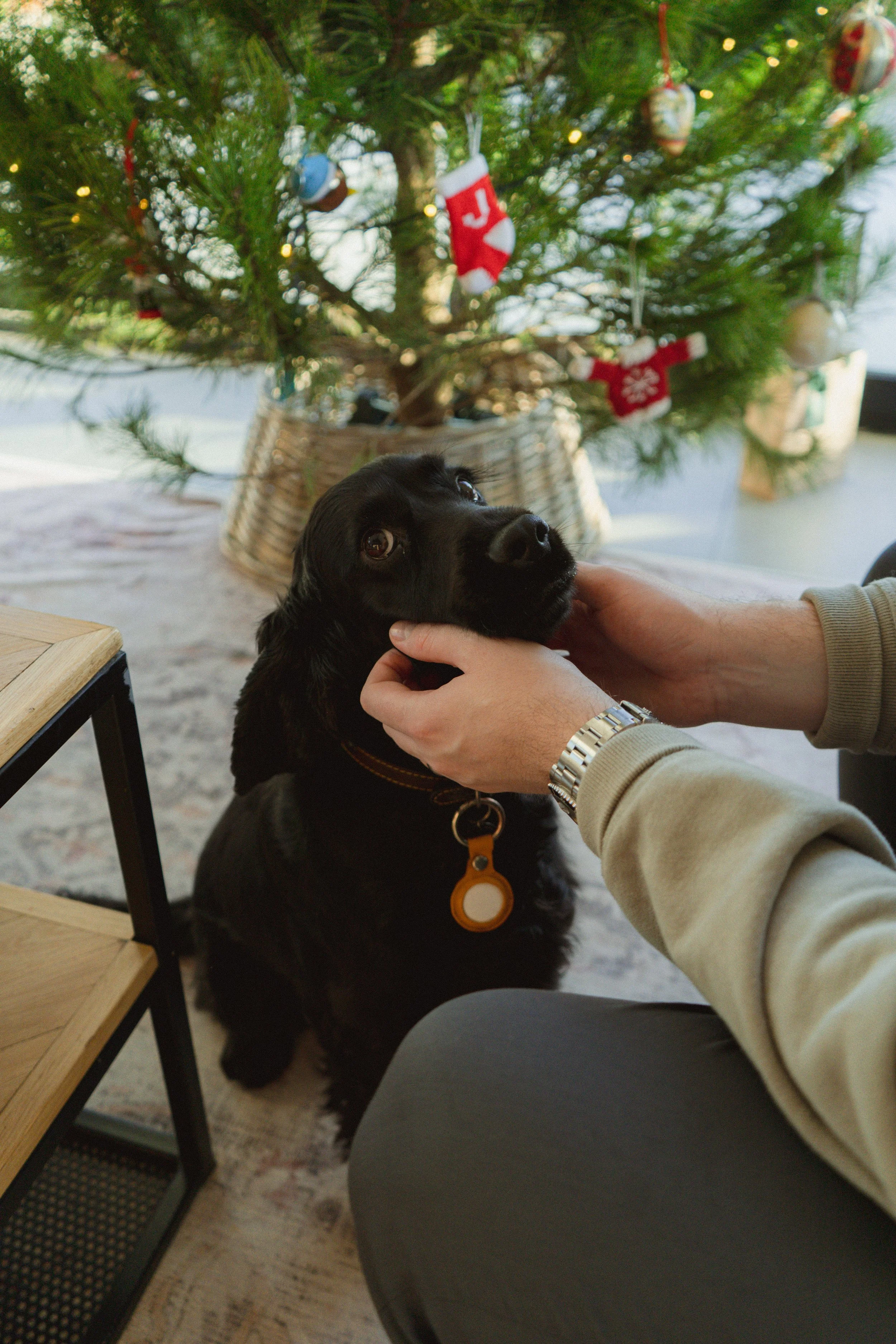 The Scullions-055.jpg