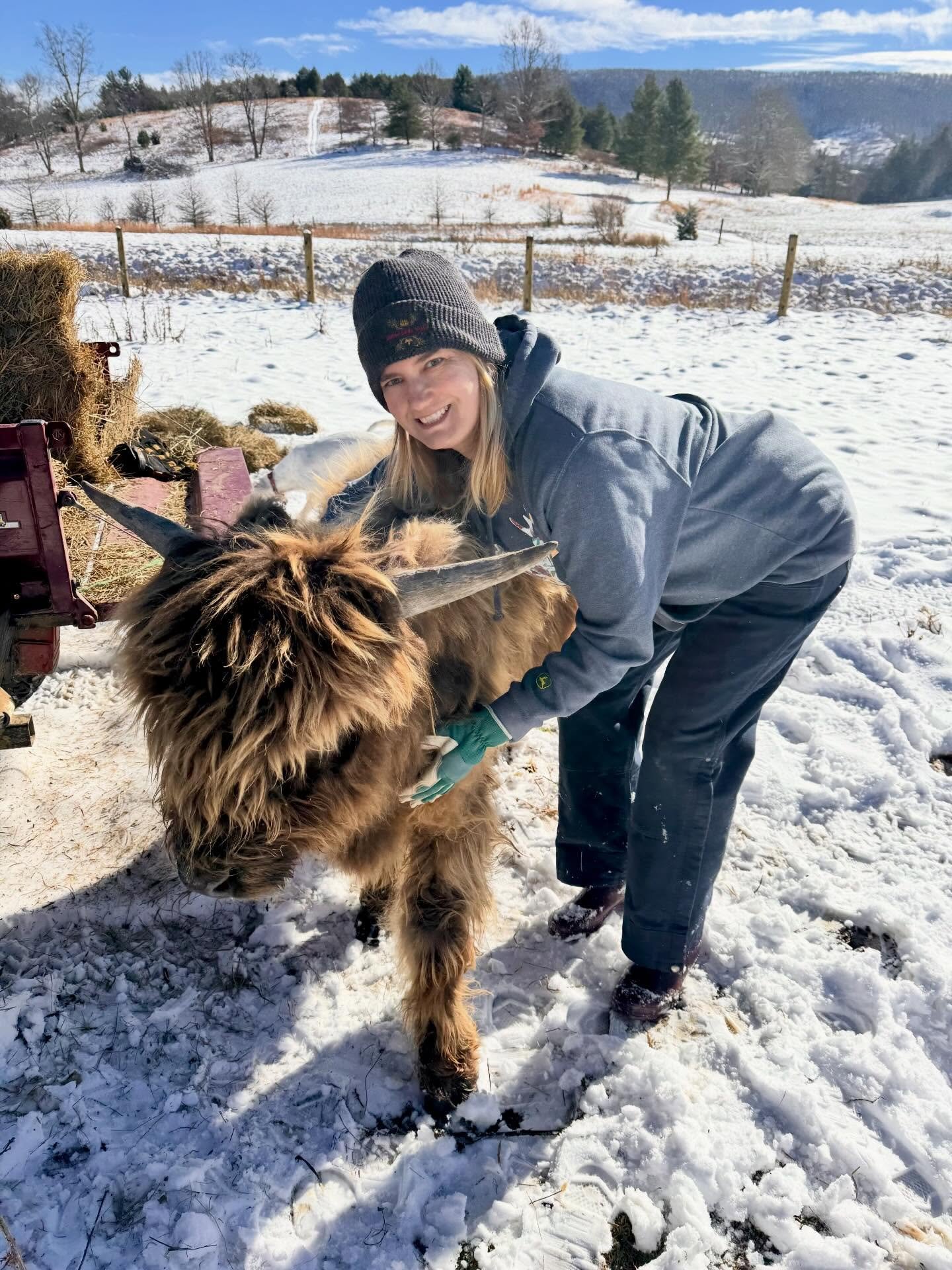 Riding Fences

#virginiaisforlovers #minicow #snowday