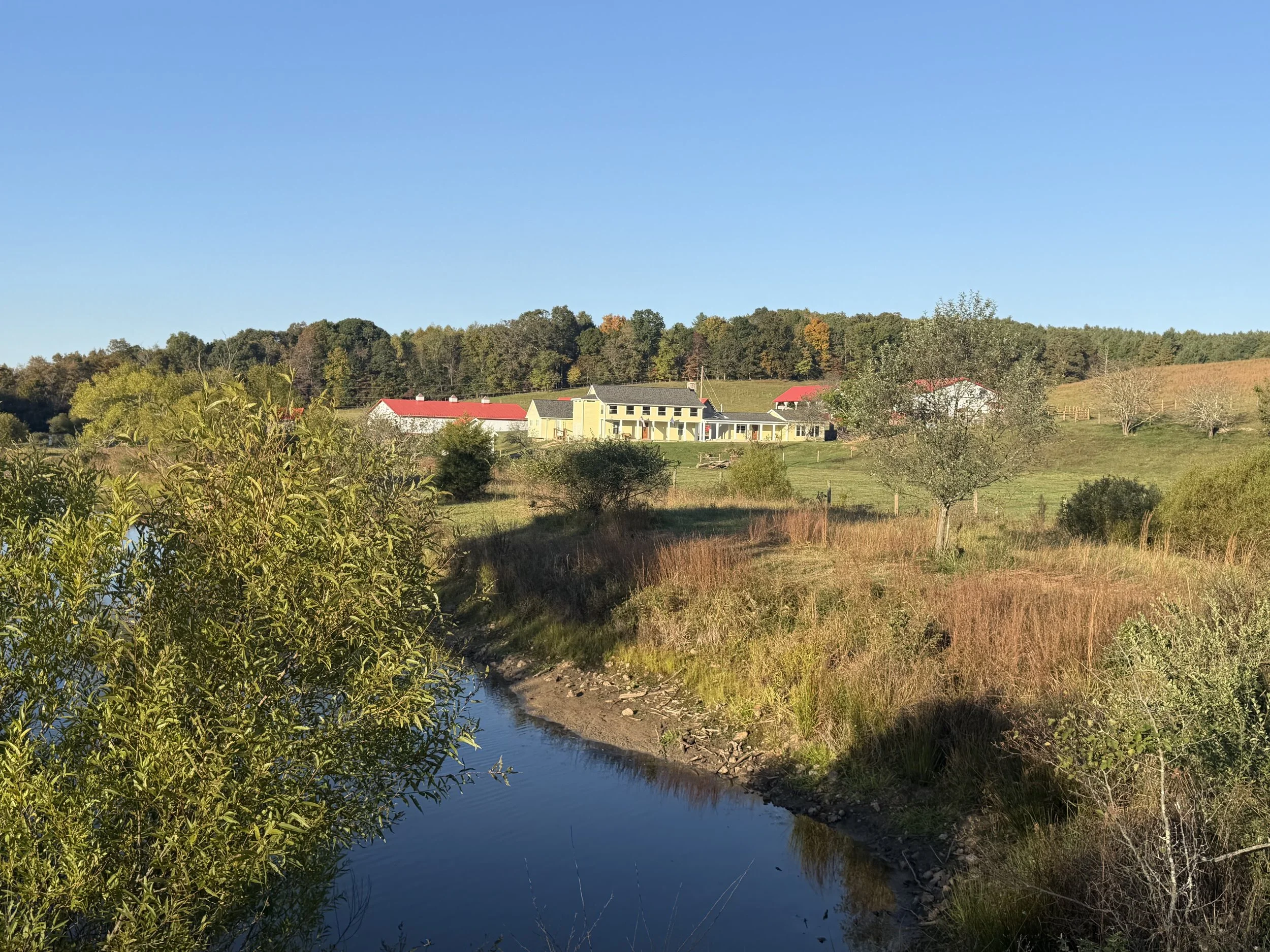 A scenic view of a yellow house with white trim, surrounded by smaller white and red outbuildings, set against a lush green hillside with trees, next to a reflective body of water.