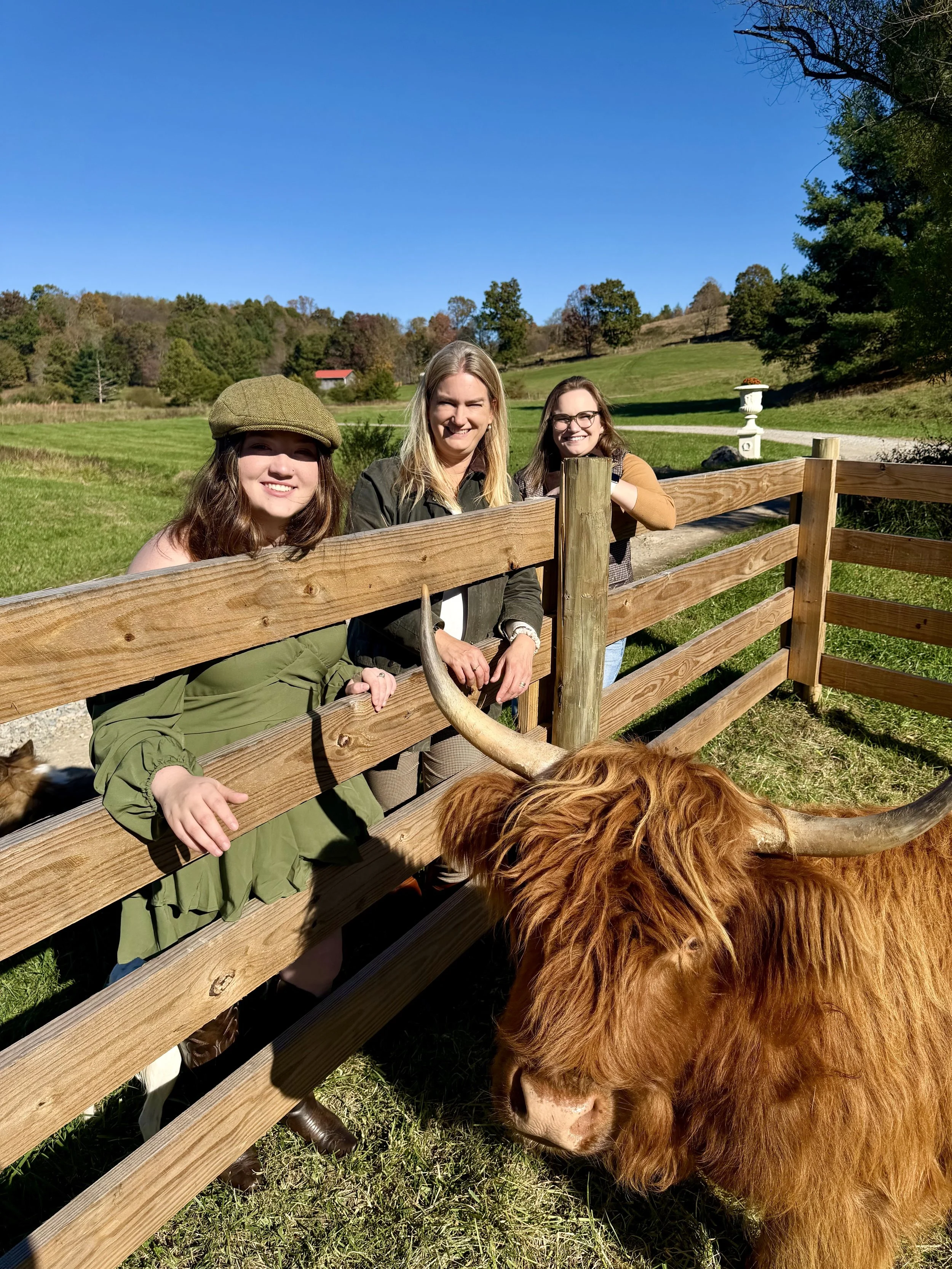 caps and cows.jpg