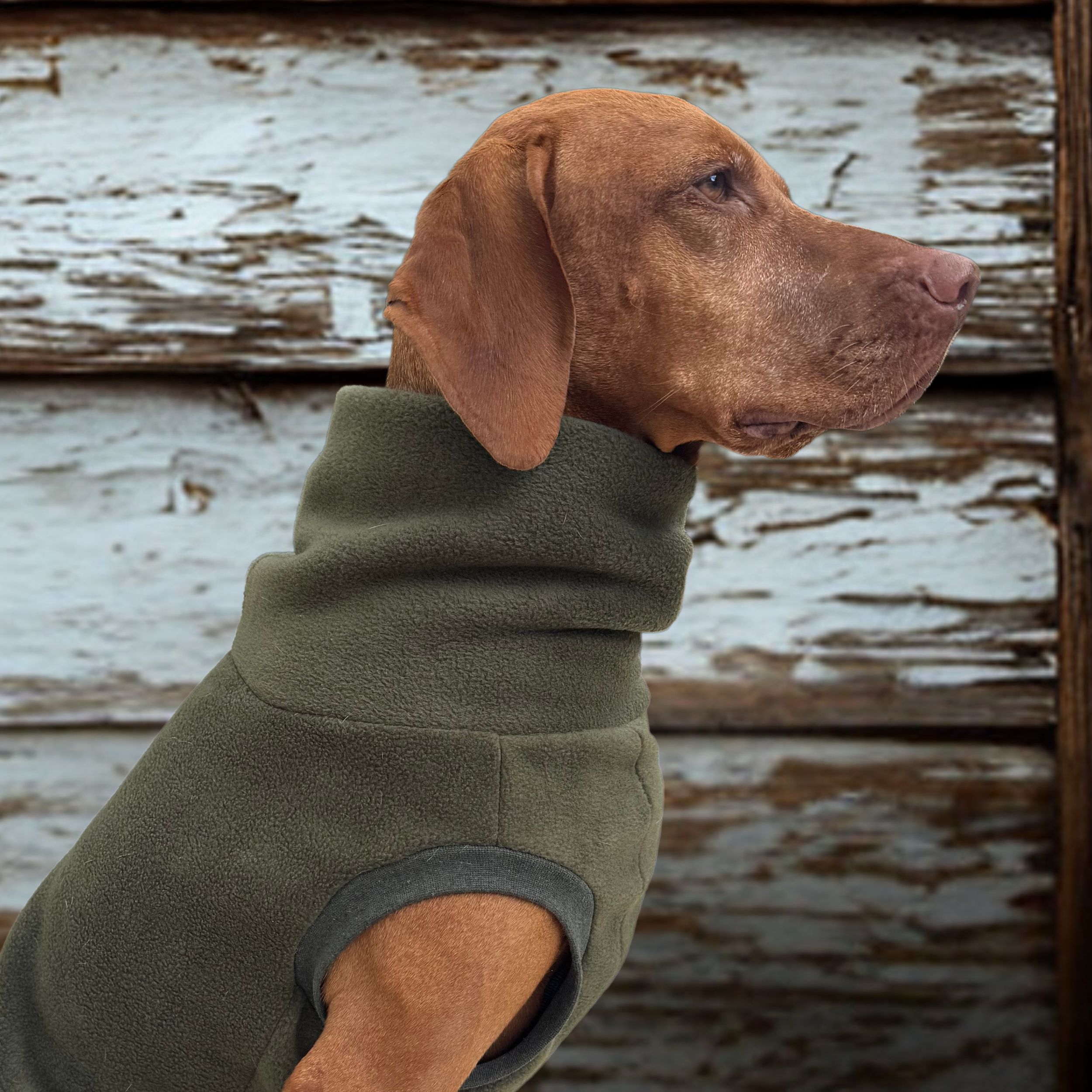Side Profile - Hungarian Vizsla wearing a Dashwood Dog Fleece (Copy)