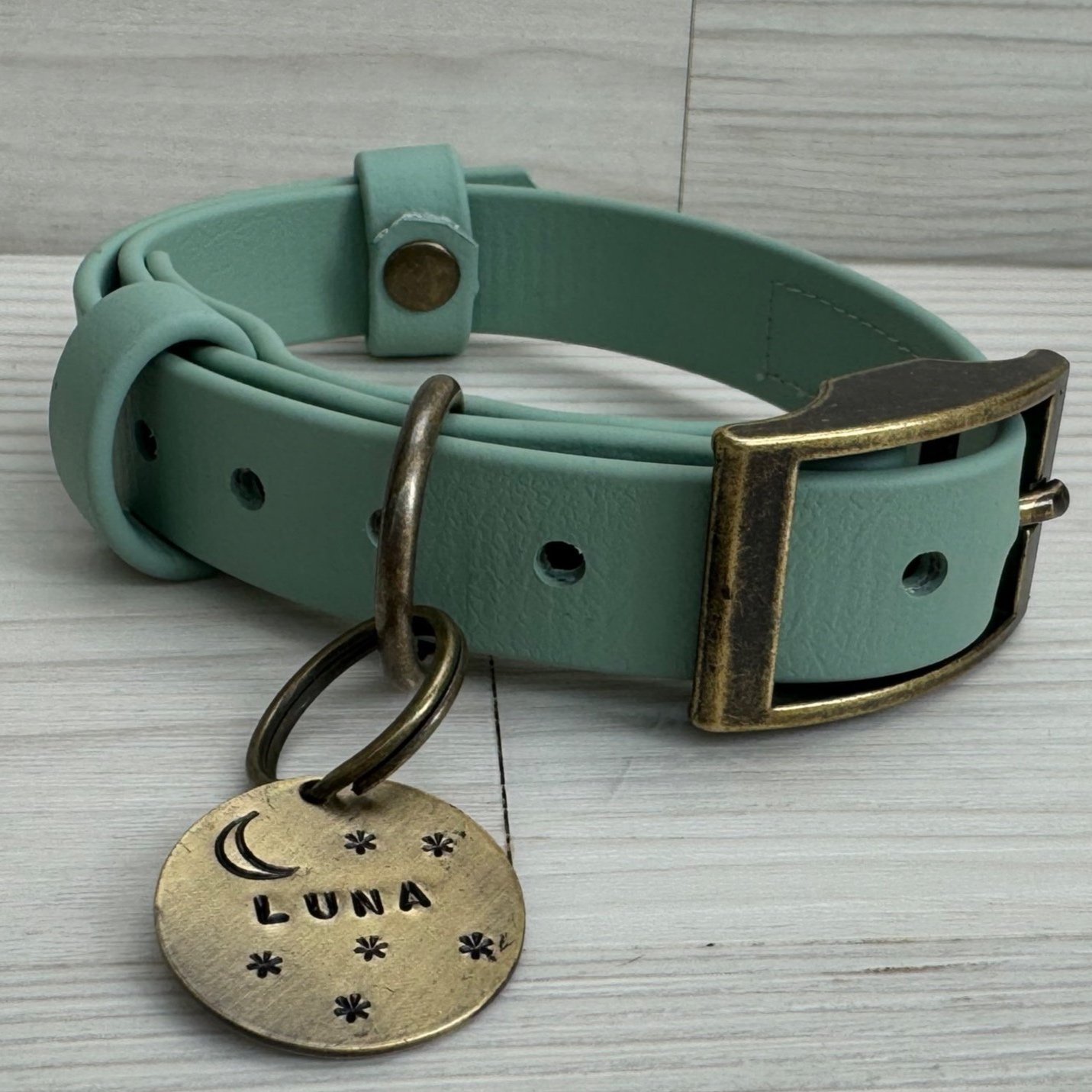 Dashwood Dog Puppy Biothane Collar in sage with a dog tag engraved Luna