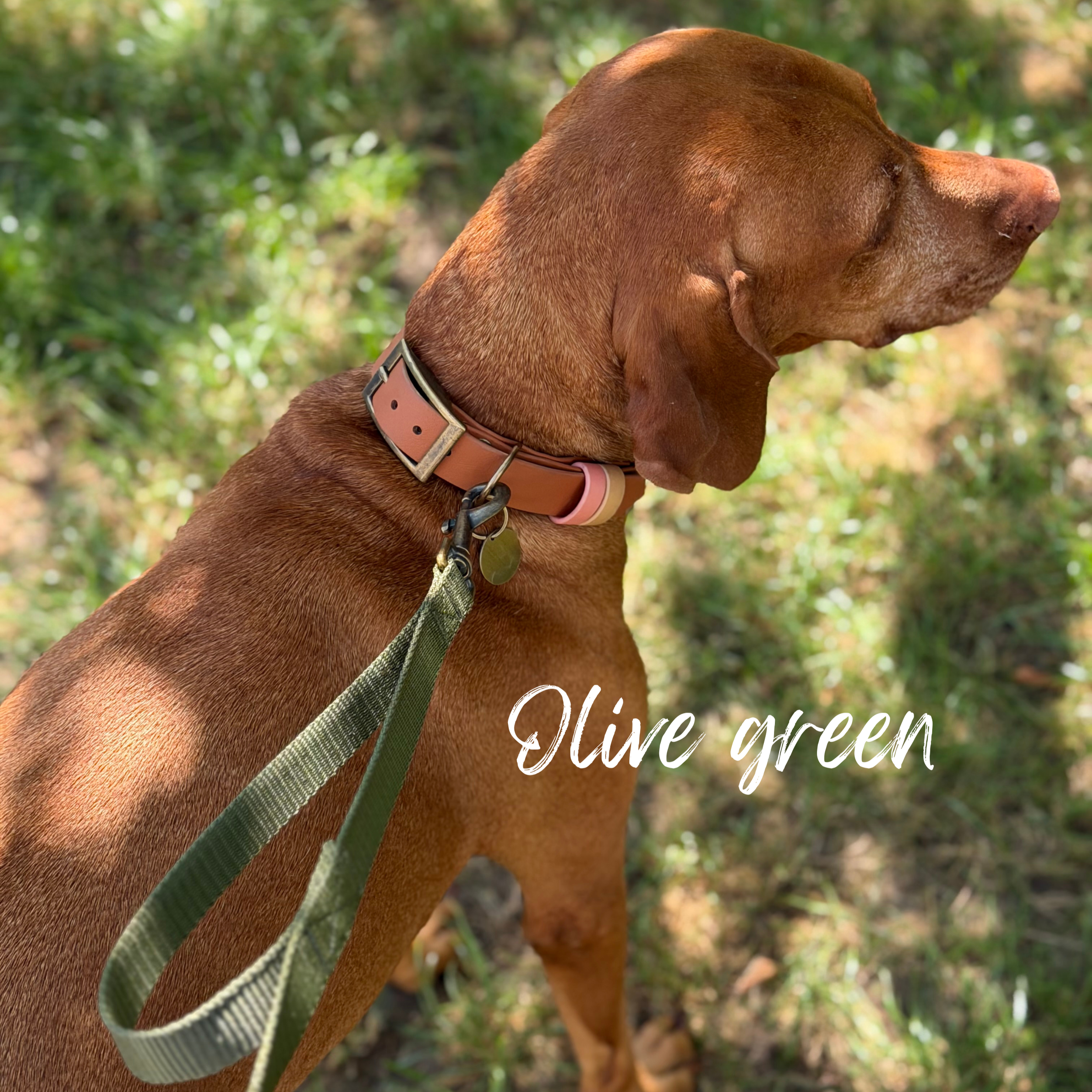 The+Pay+Day+-+4.png