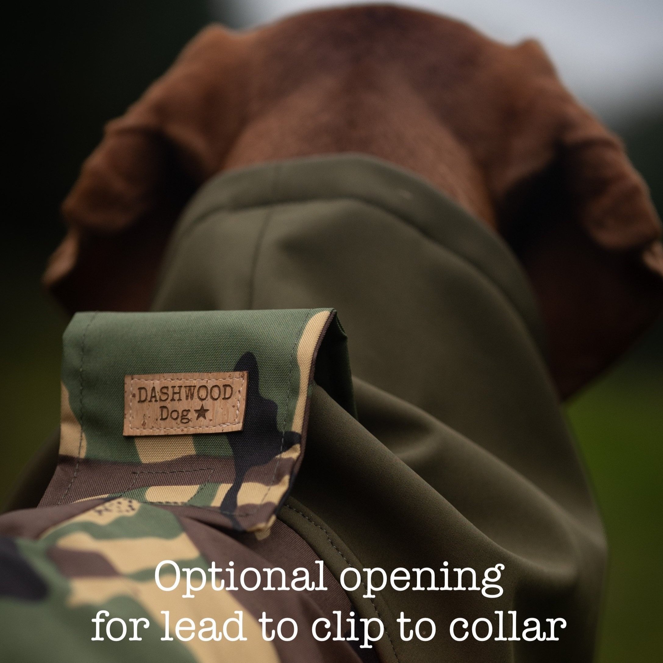 Coat%2Binfo%2Bdetail%2B1.jpg