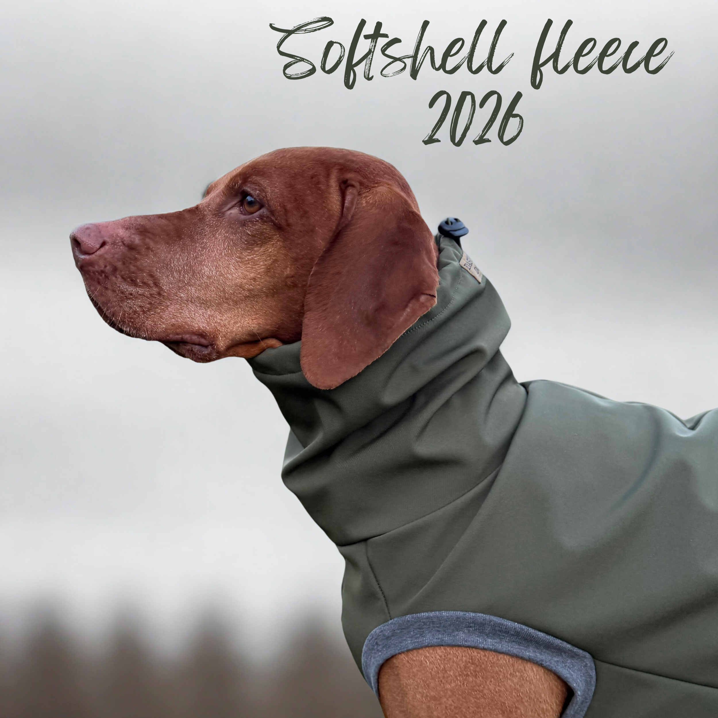 Softshell Fleece - NEW for 2026