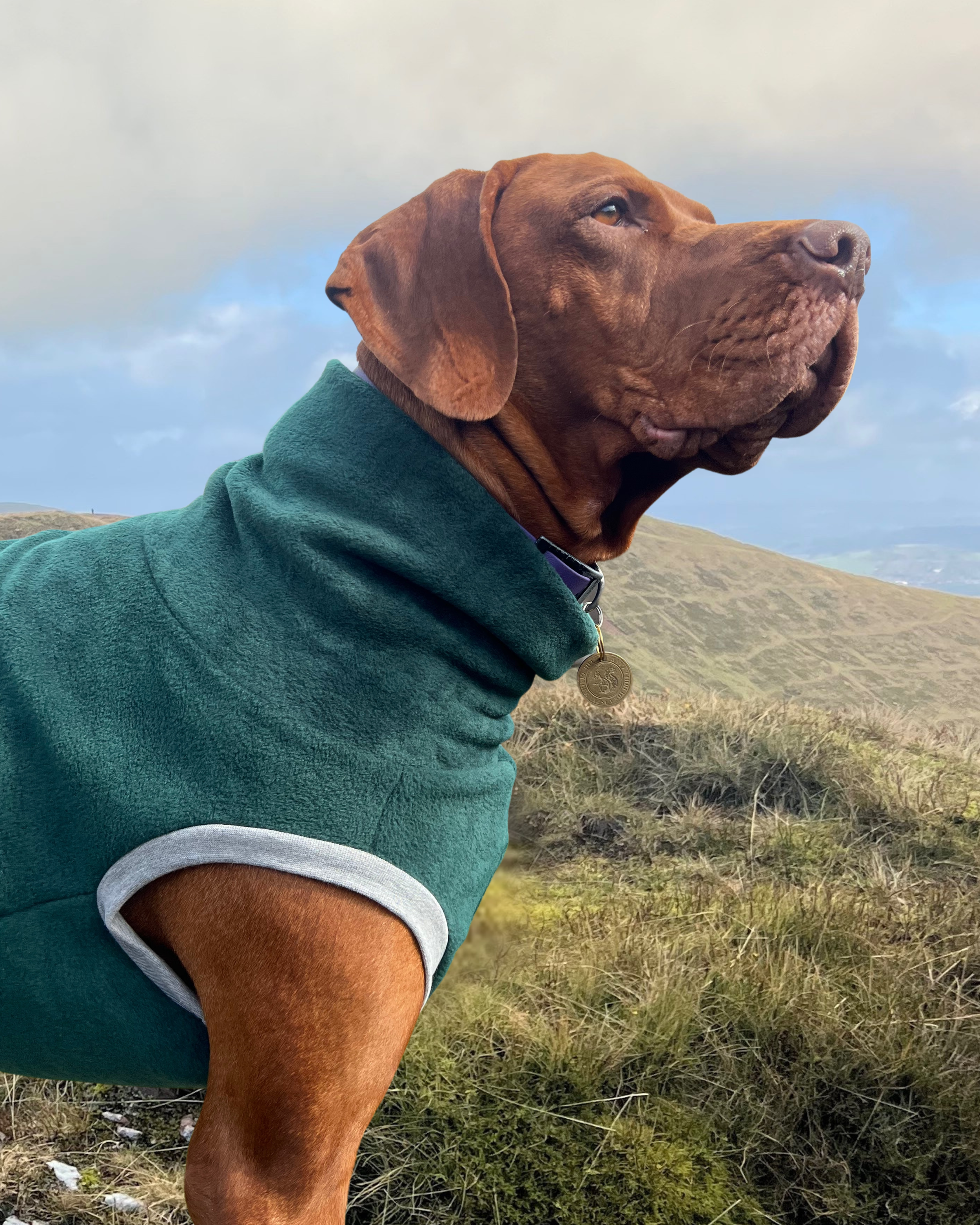 Untitled design - 3.png