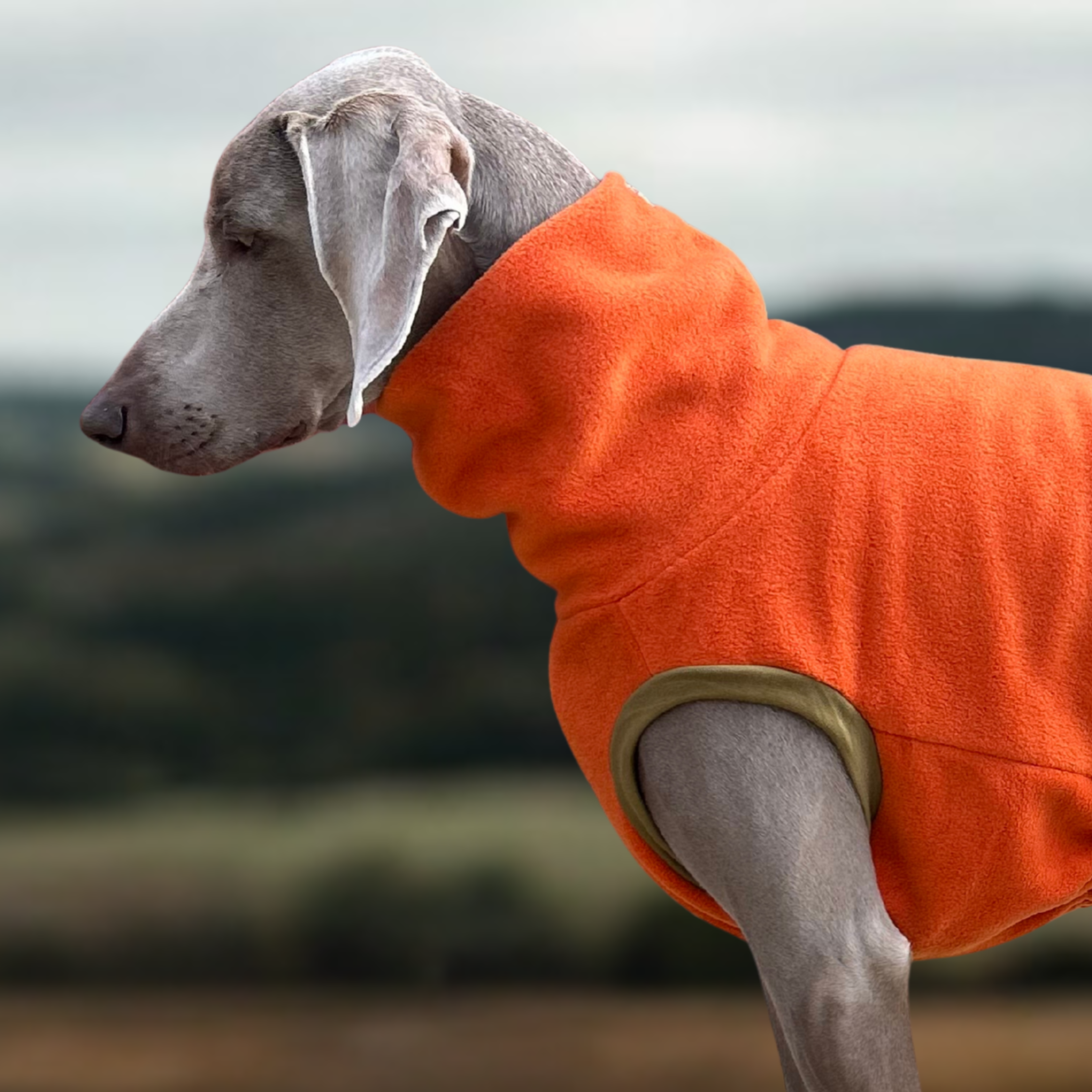 Fleece - Other colours