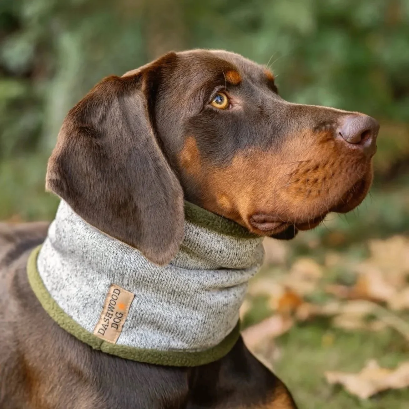Snoods — All collections | Discover Durable Pet Gear – Shop Now