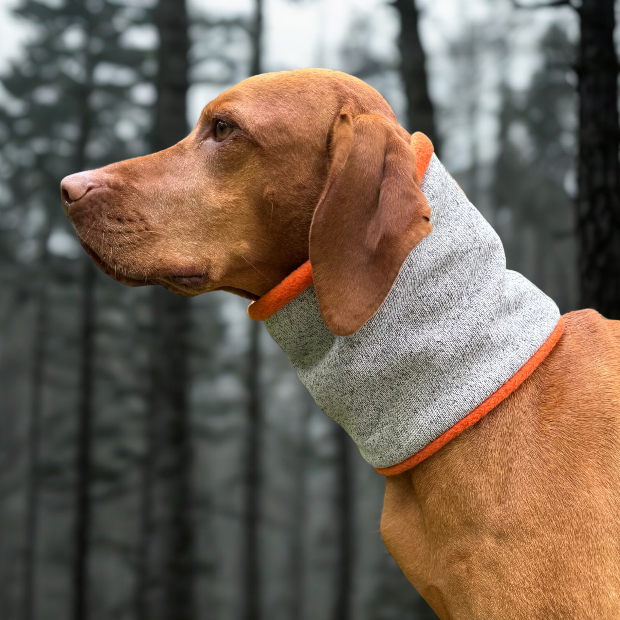 Snoods — All collections | Discover Durable Pet Gear – Shop Now