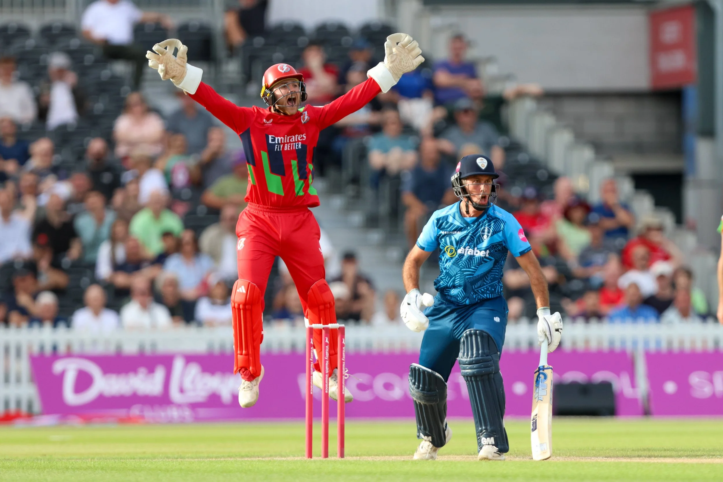 Cricket