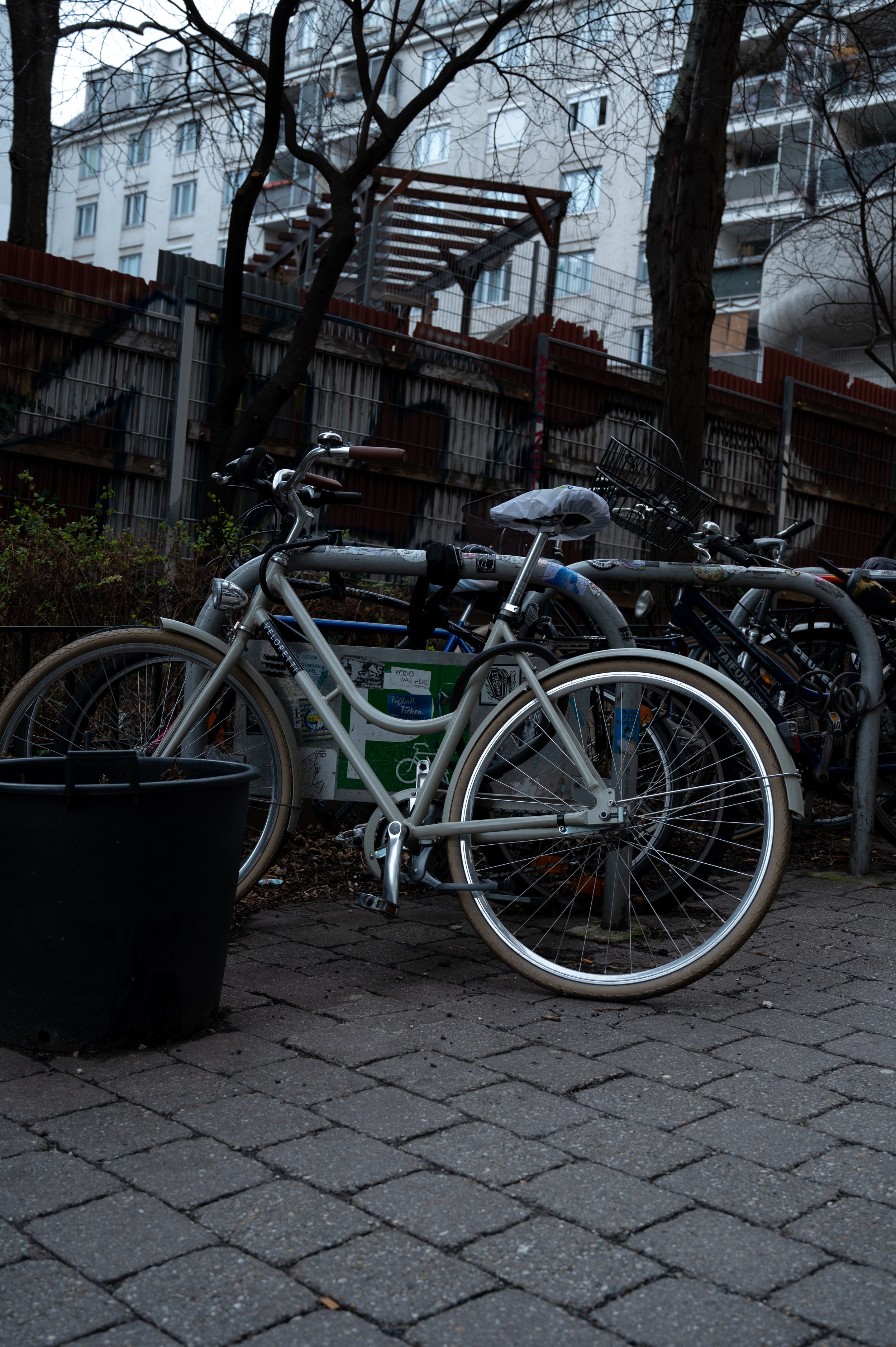 DSC_1324.jpg