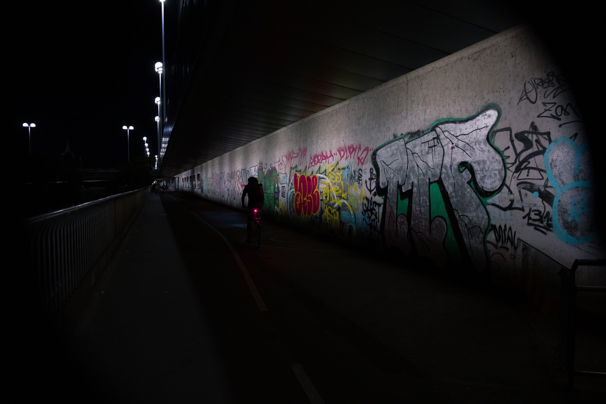 DSC_0059.jpg