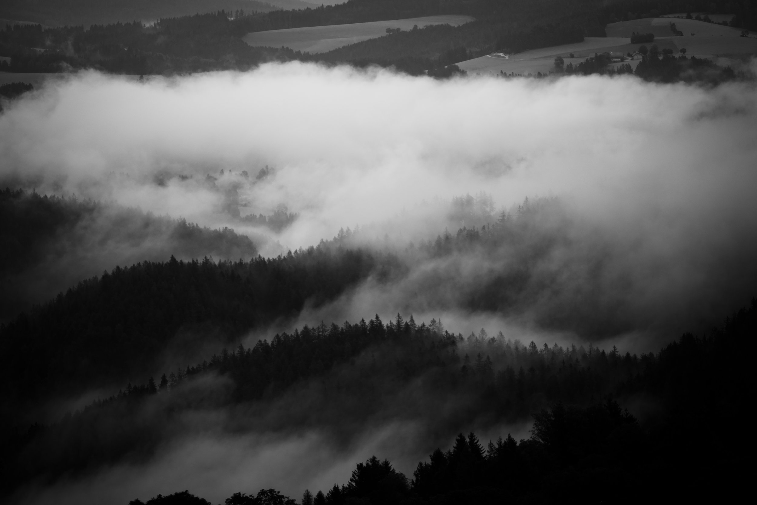DSC_1887.jpg