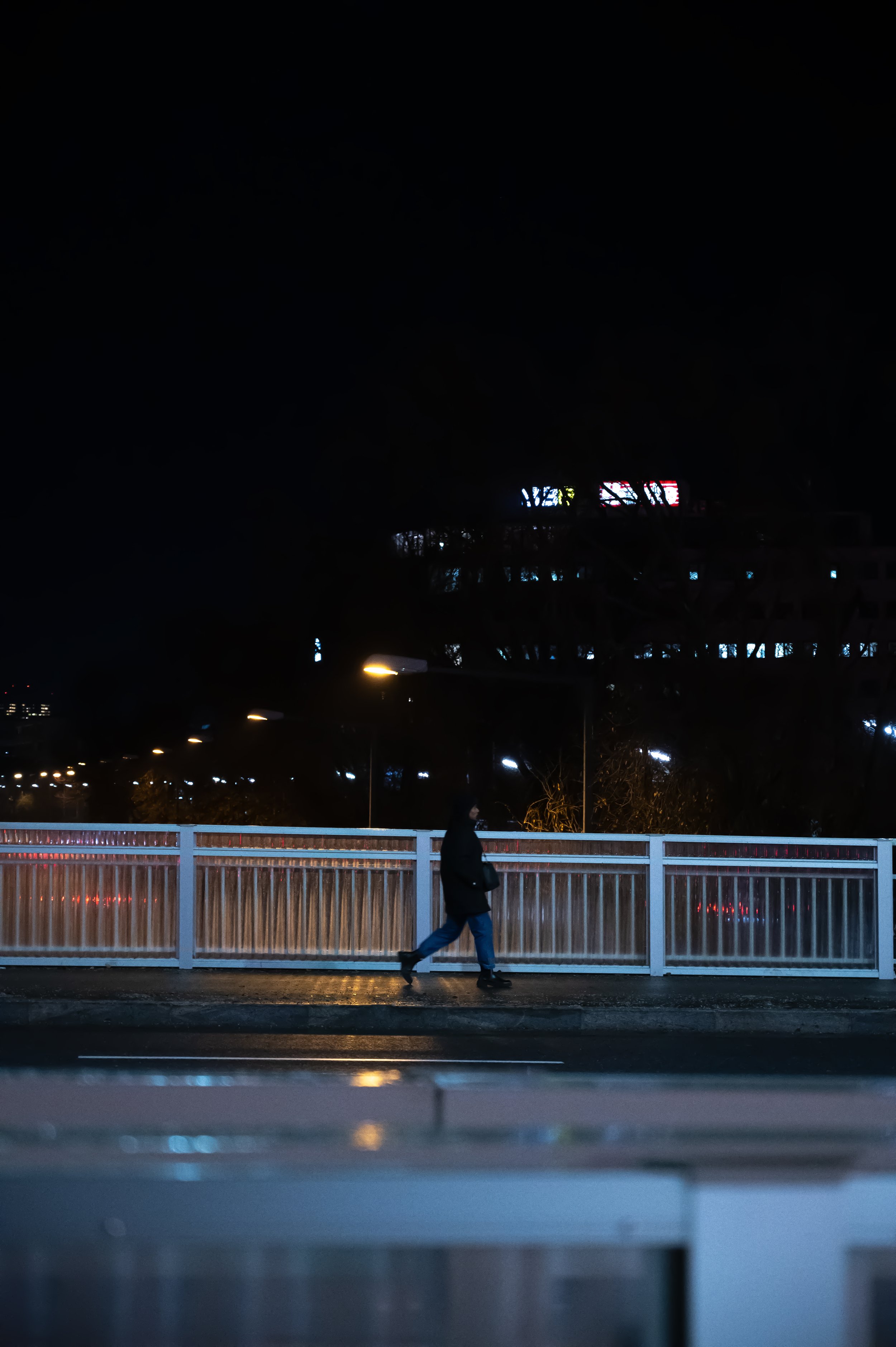 DSC_0504.jpg
