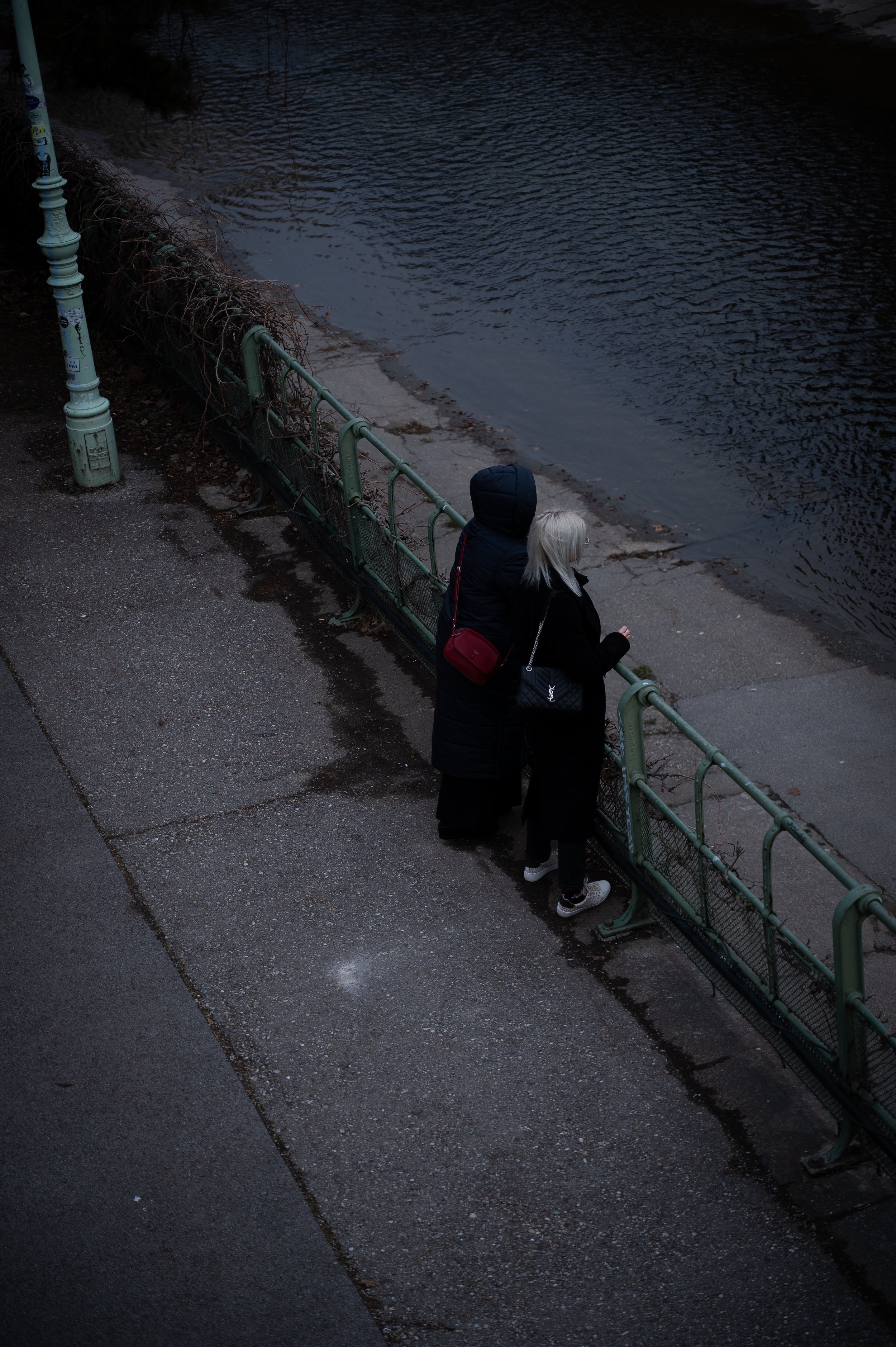 DSC_1498.jpg