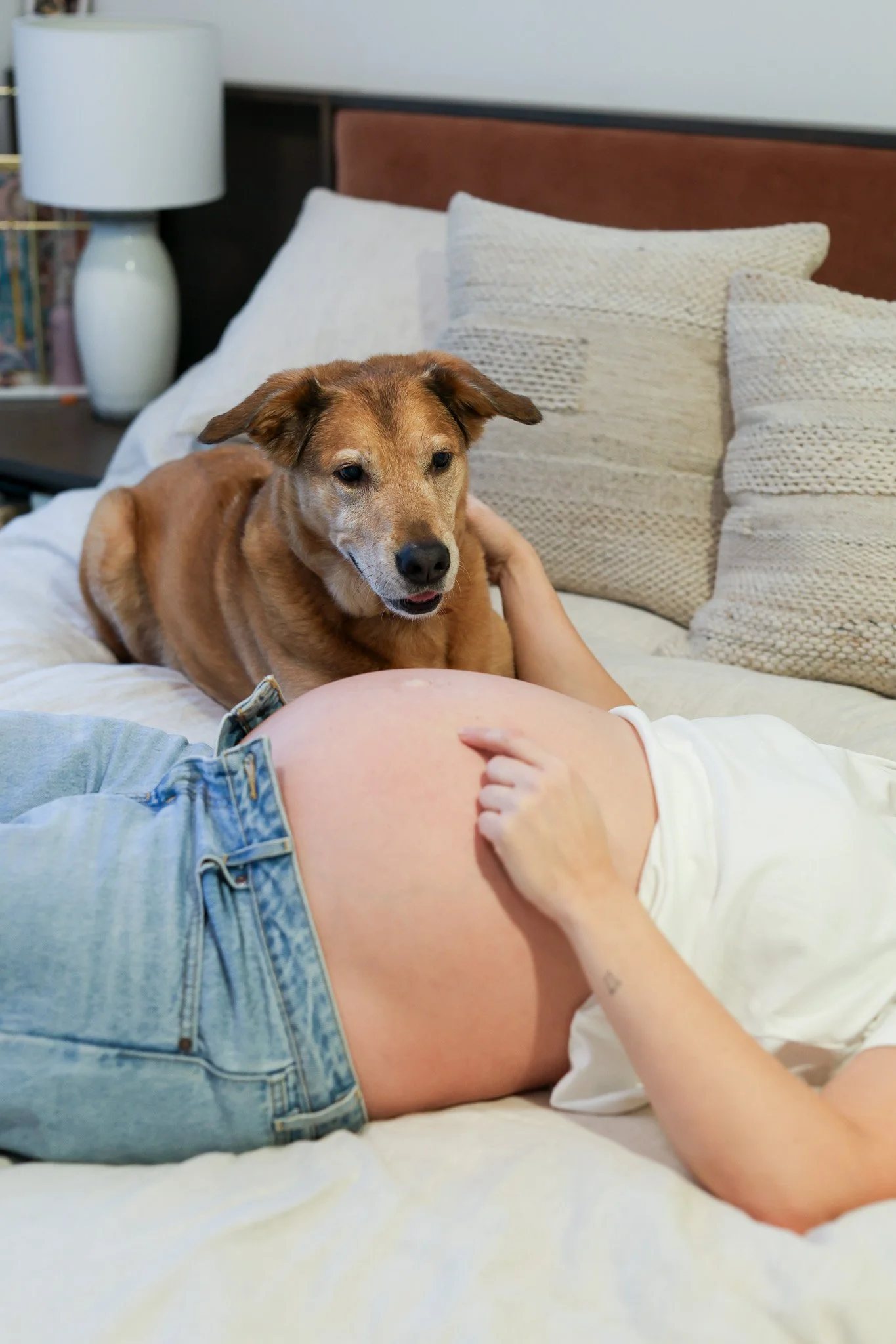 A person lying on a bed with a pregnant belly, a brown dog resting its head on the person's stomach, and a background of pillows, a lamp, and books.