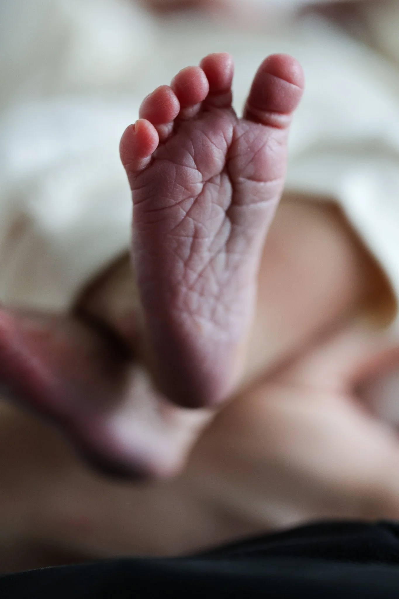 Close-up of a tiny, wrinkled human hand with curled fingers, against a blurred background.