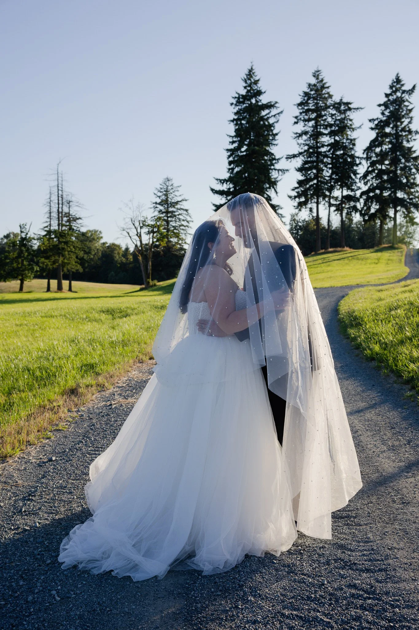 A bride and groom stand closely together under a sheer veil outdoors, with a backdrop of tall pine trees and a grassy field, during daytime.