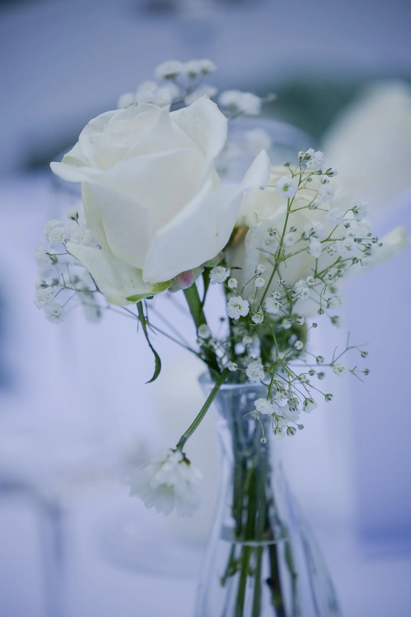 A bouquet of white roses and baby's breath flowers arranged in a clear glass vase.