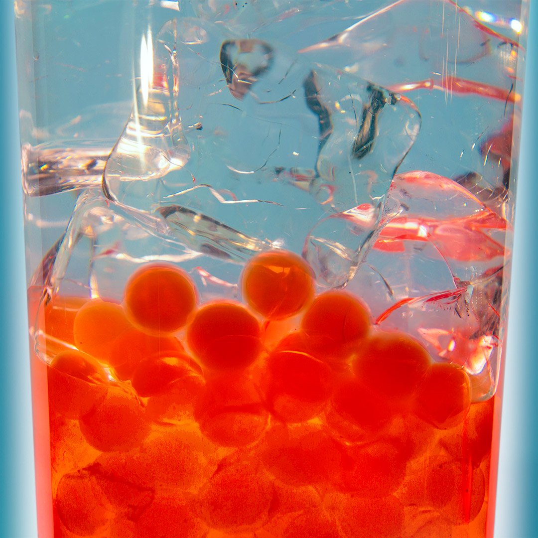 3.BobaBelowtheIce-1x1.jpg