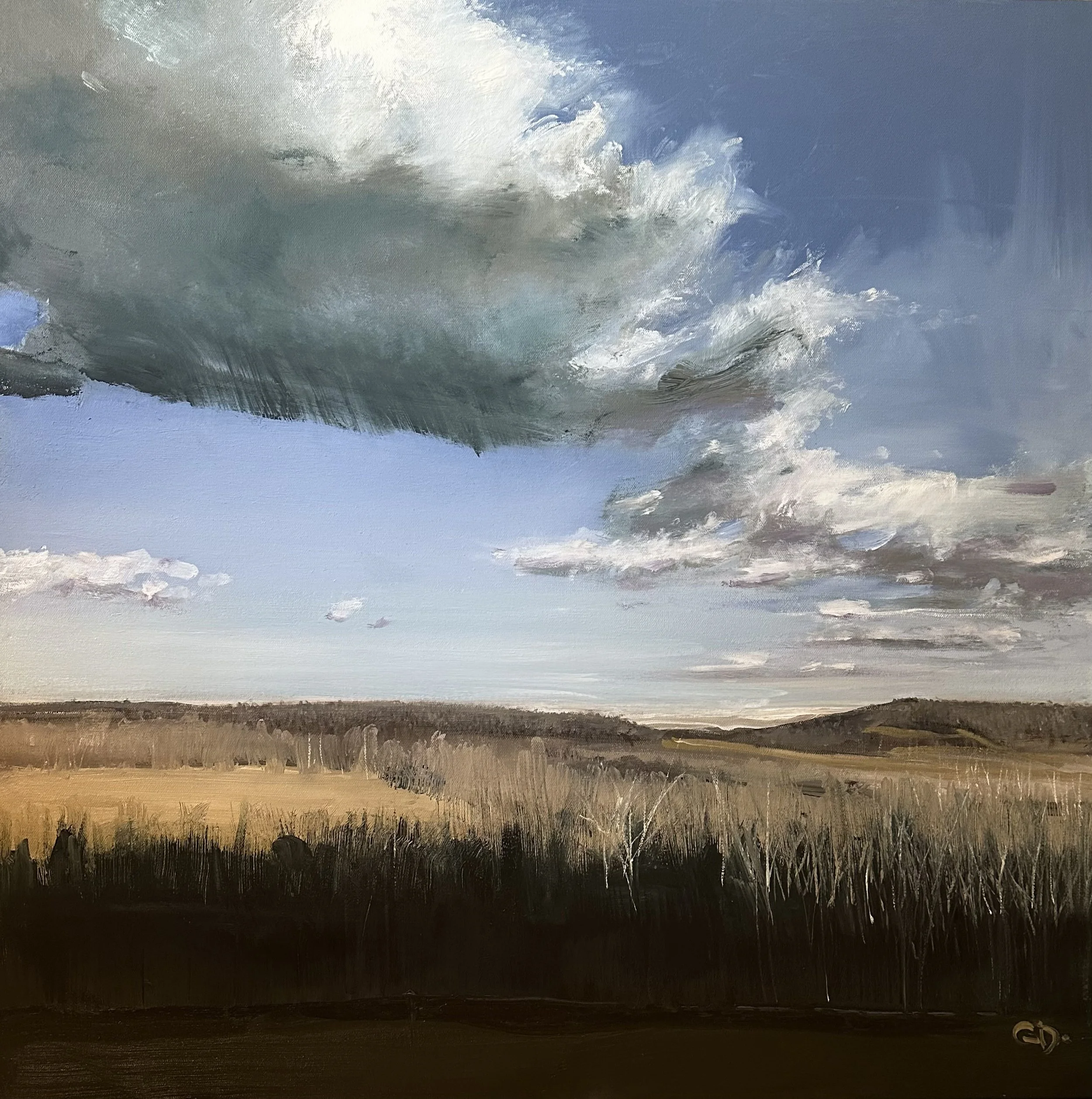 A landscape painting of a grassy field with a cloudy sky above and mountains in the background, painted in an impressionistic style with broad brushstrokes and muted colors.