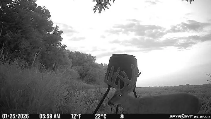 PICT6142_202607251320fVCZ9.jpg