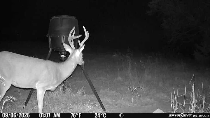 0906c.jpg