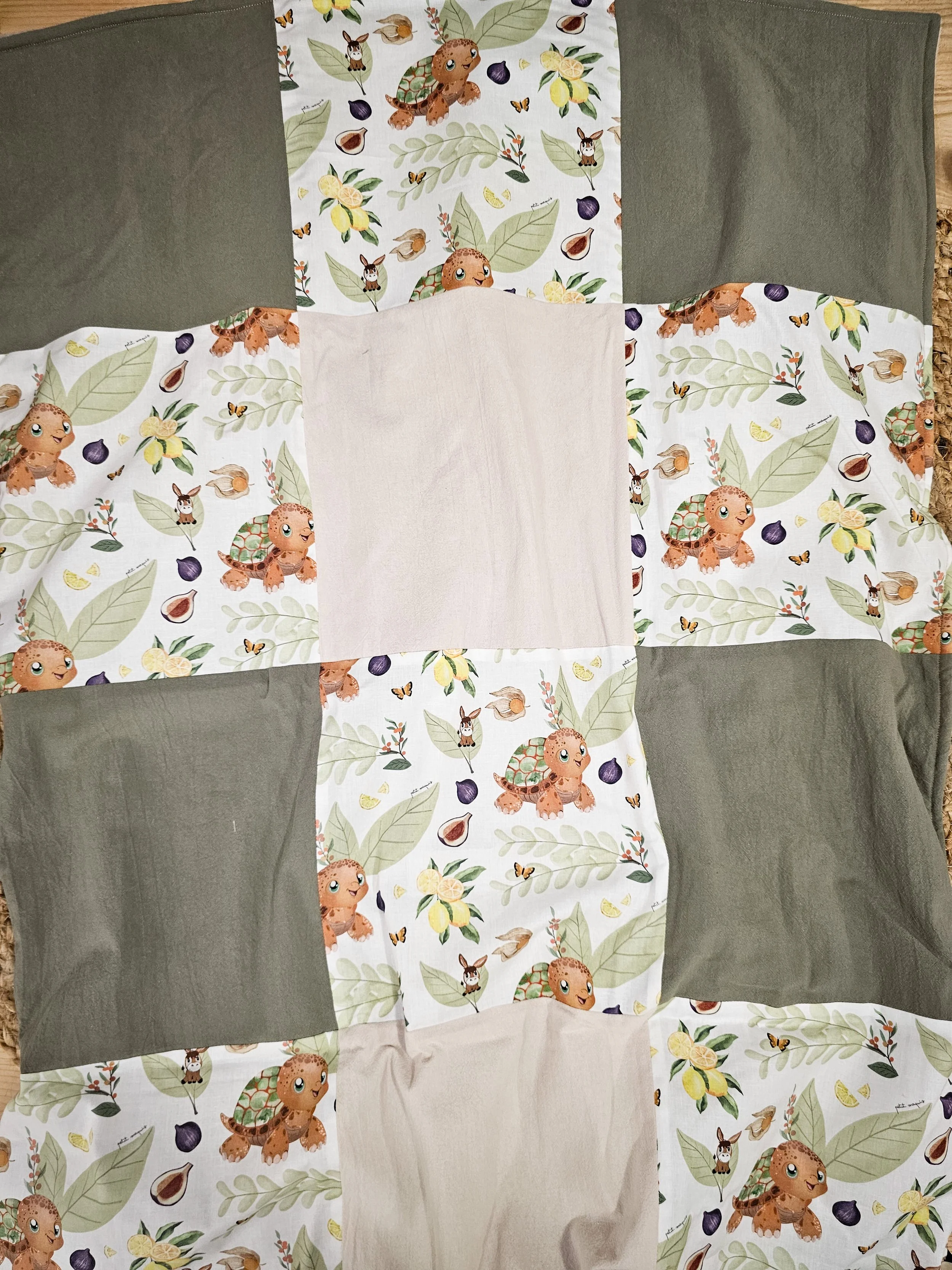 TORTUE COUVERTURE (3).jpg