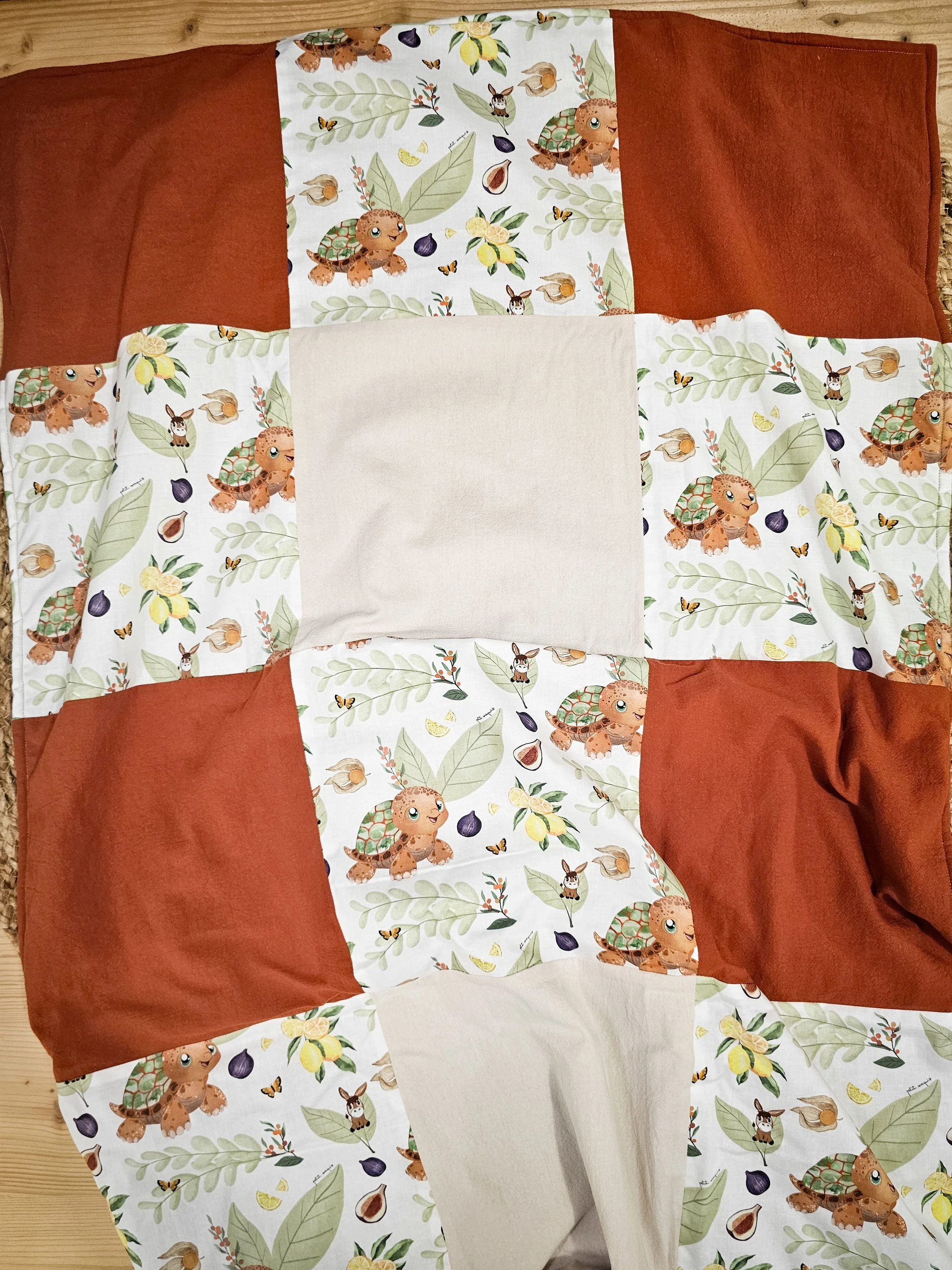 TORTUE COUVERTURE (2).jpg
