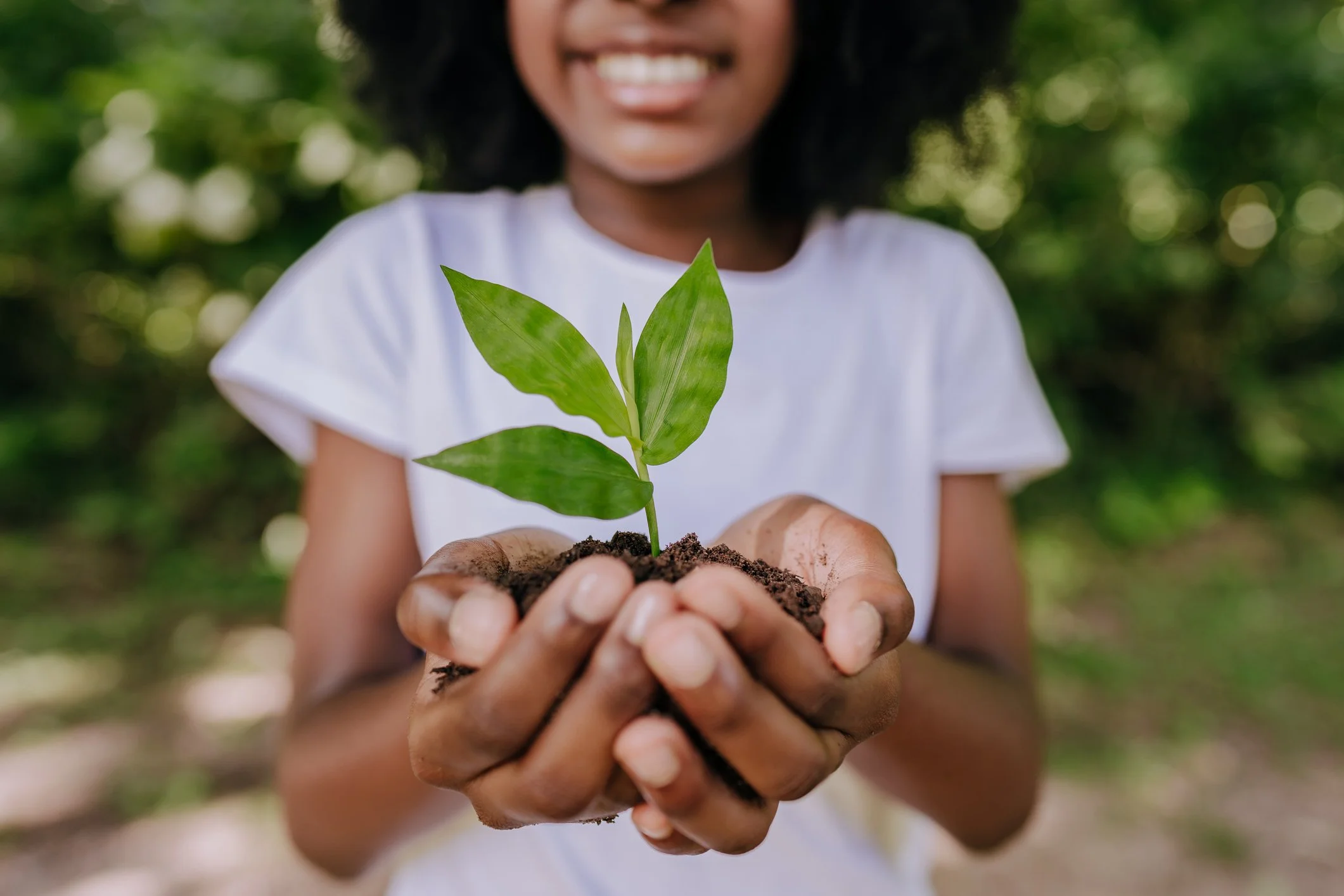 Person holding a small green sapling with soil in hands, smiling, outdoors with blurred greenery background.