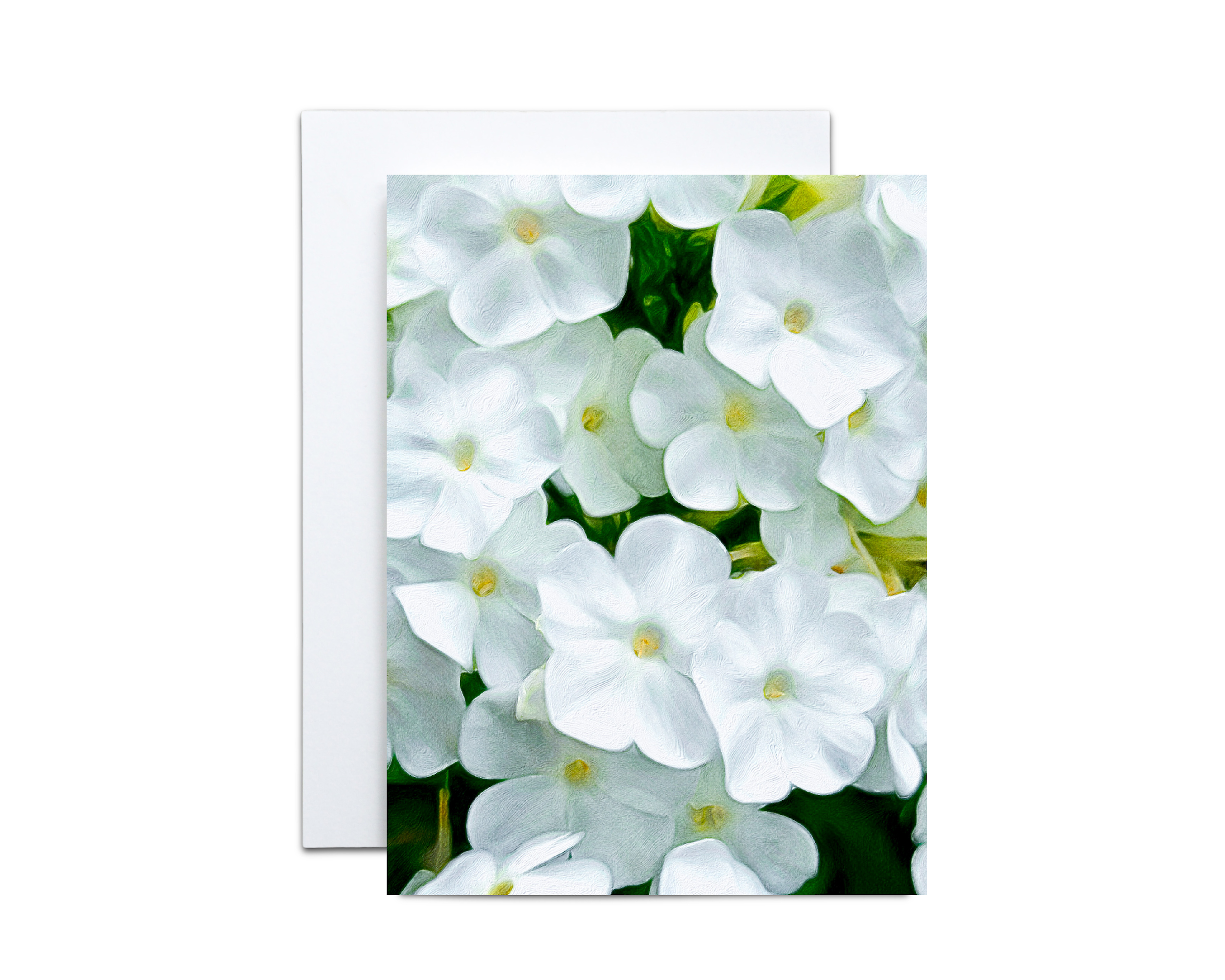 White Phlox Note Cards- 10 Cards & 10 Envelopes