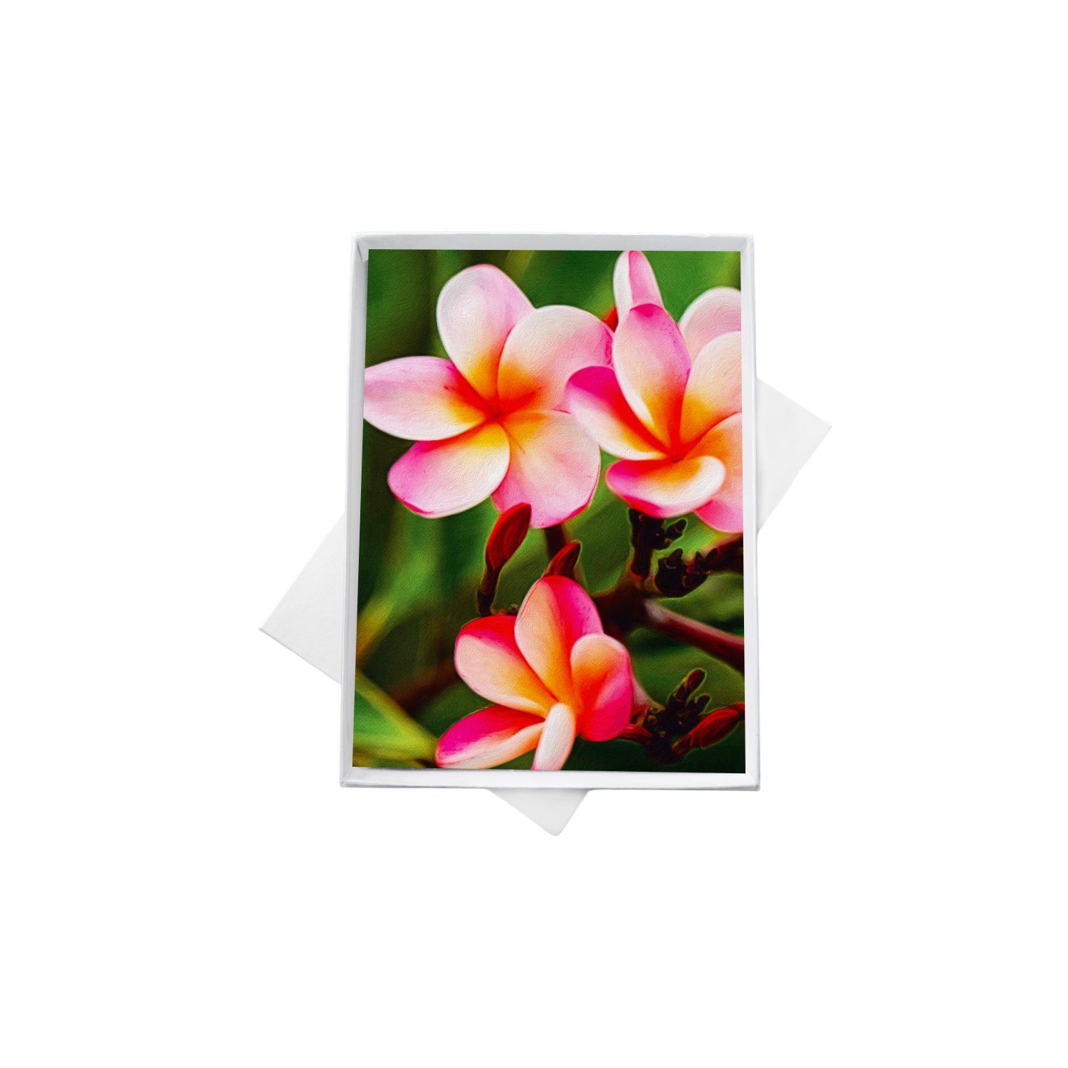 double boxes template (4) copy 3.png