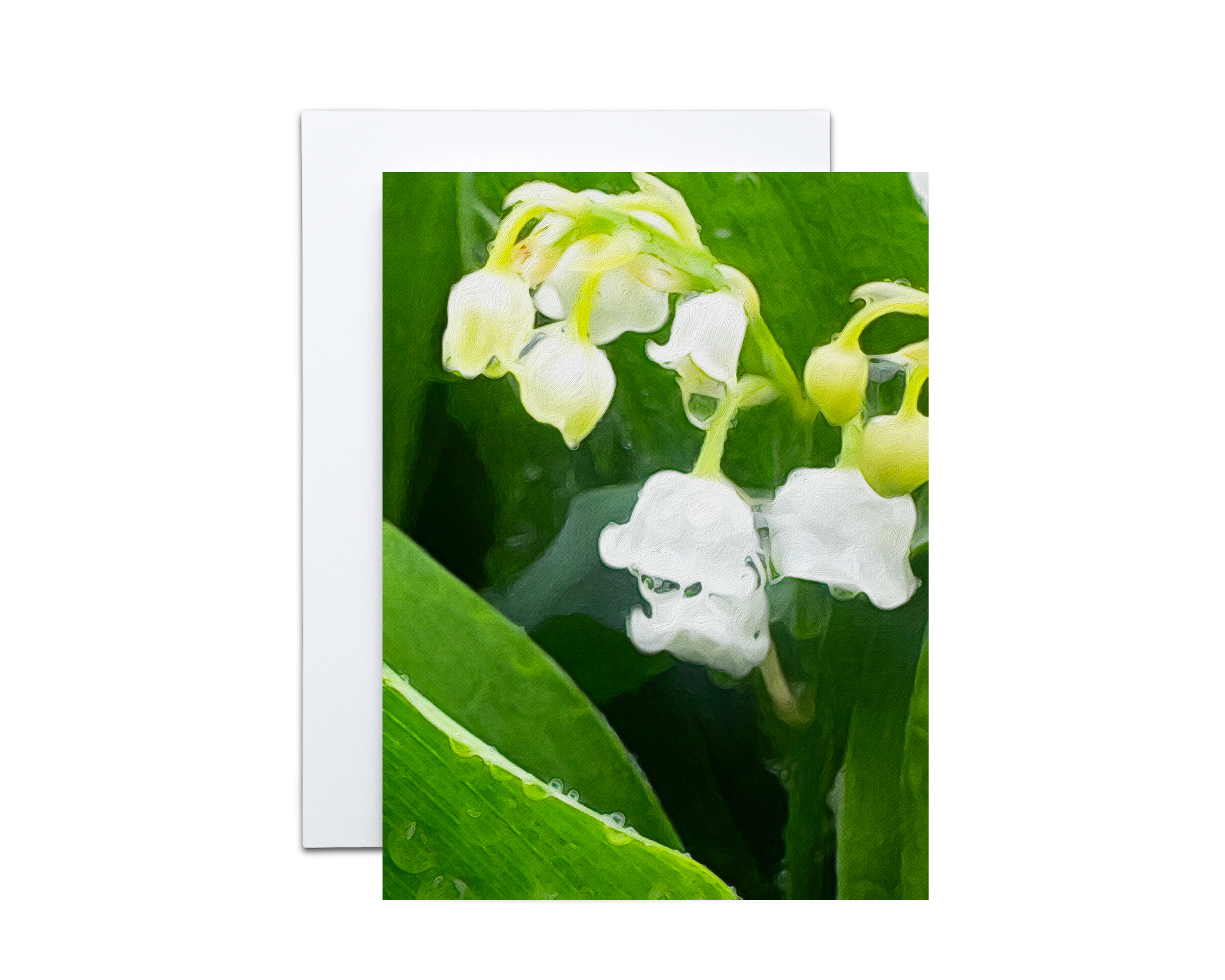 ErinPlewesMockups-5x7Card use 3000 x 2400 (6).png