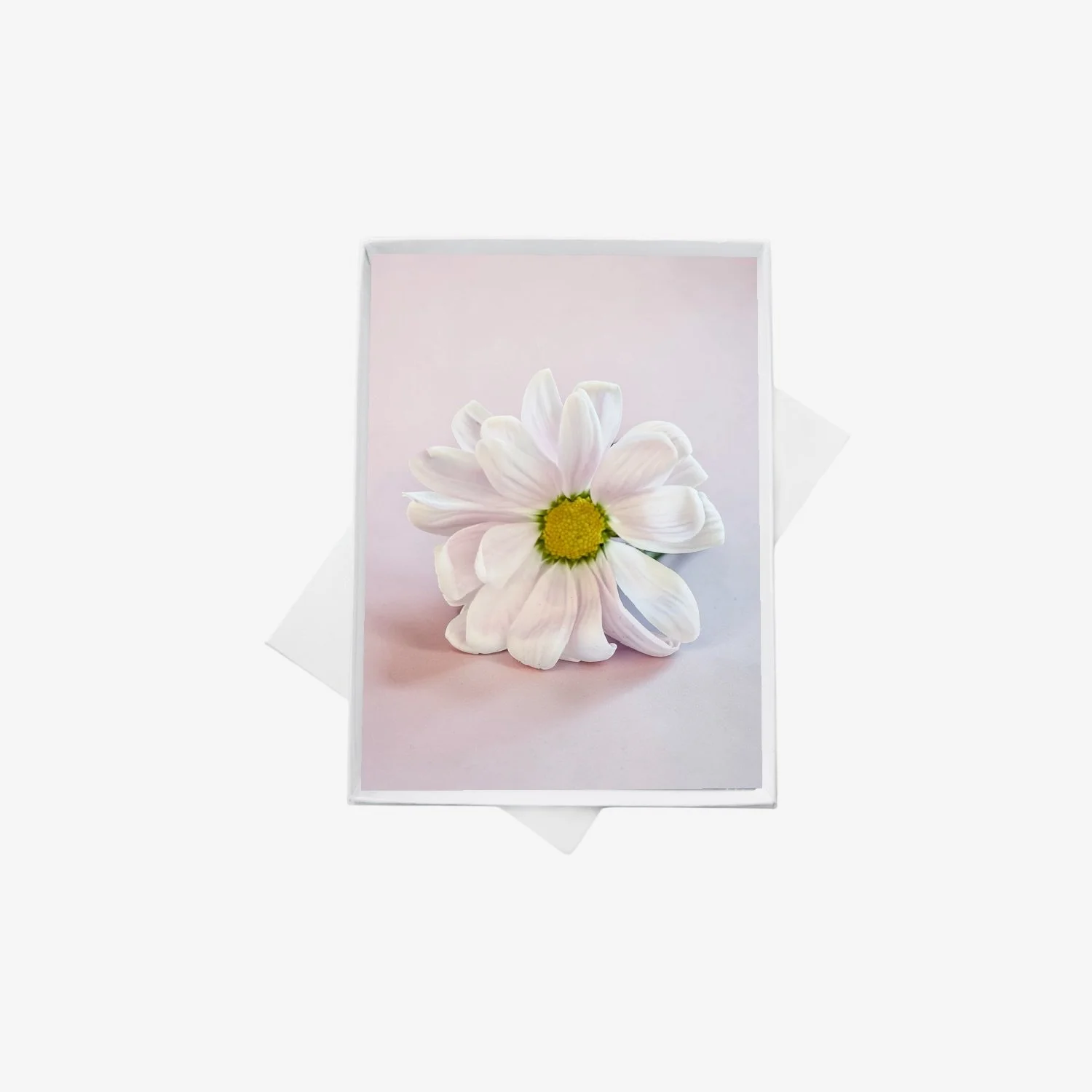 double boxes template (4).jpeg